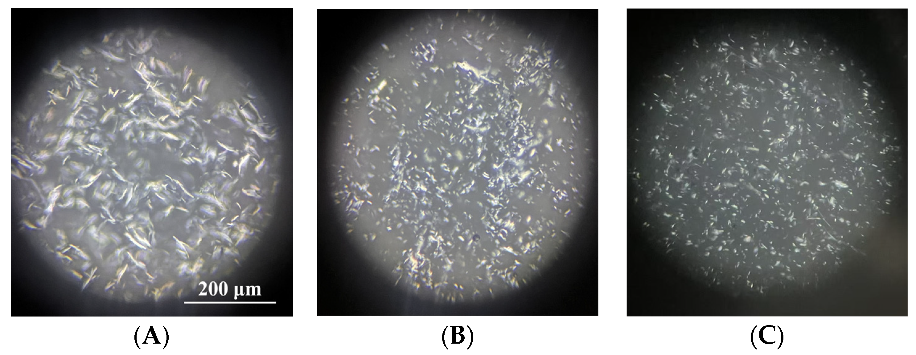 Molecules 31 03668 g012