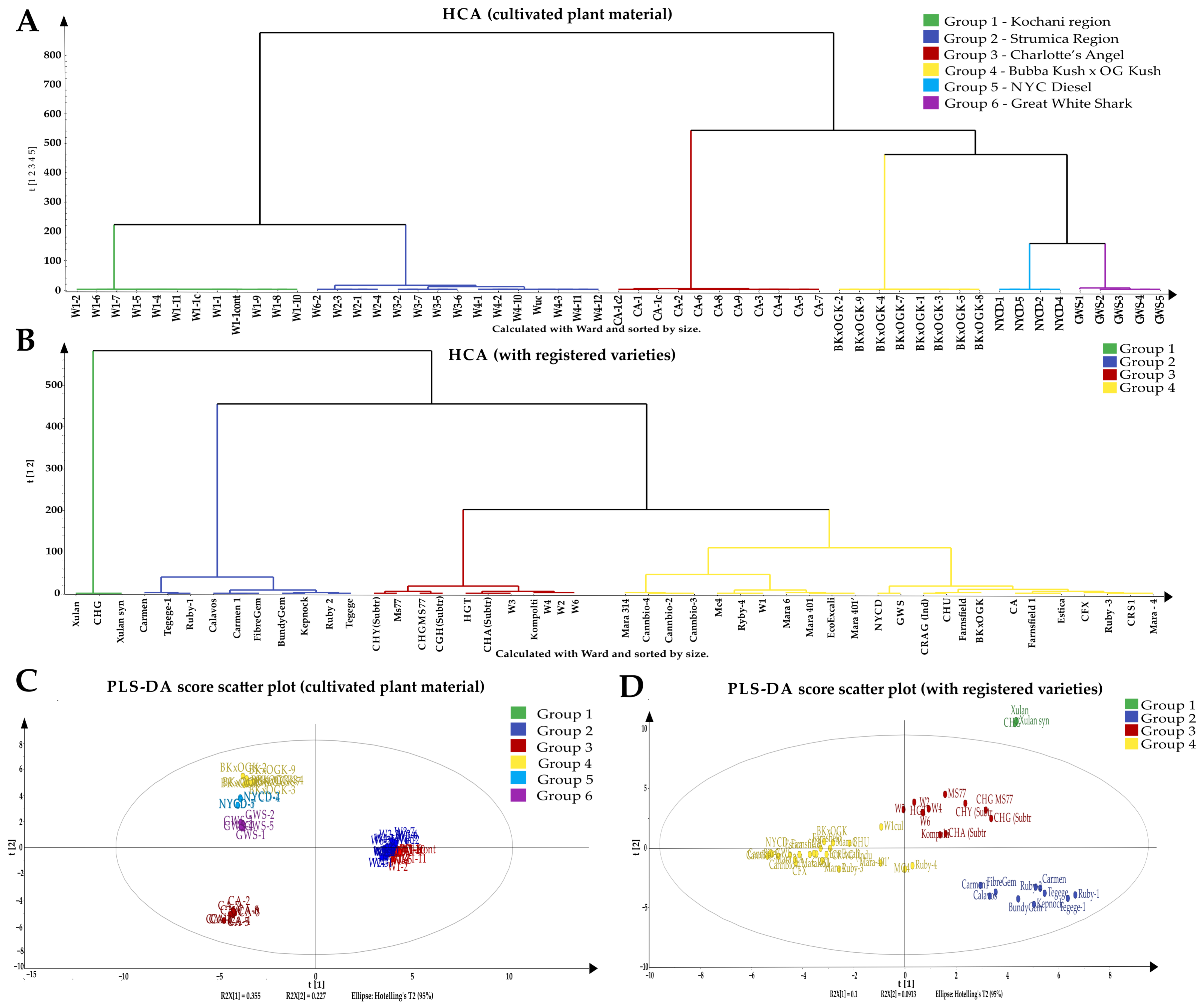 Molecules 31 03723 g001 Molecules 31 03723 g001