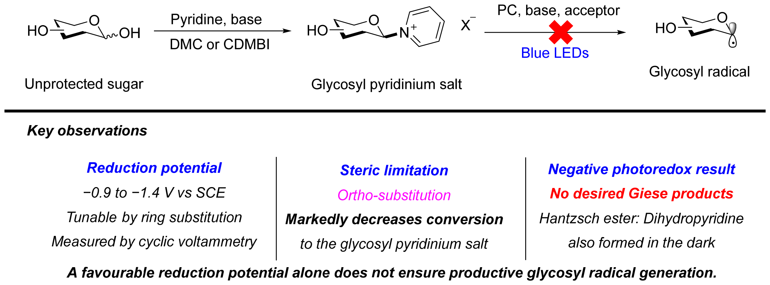 Molecules 31 03733 g005