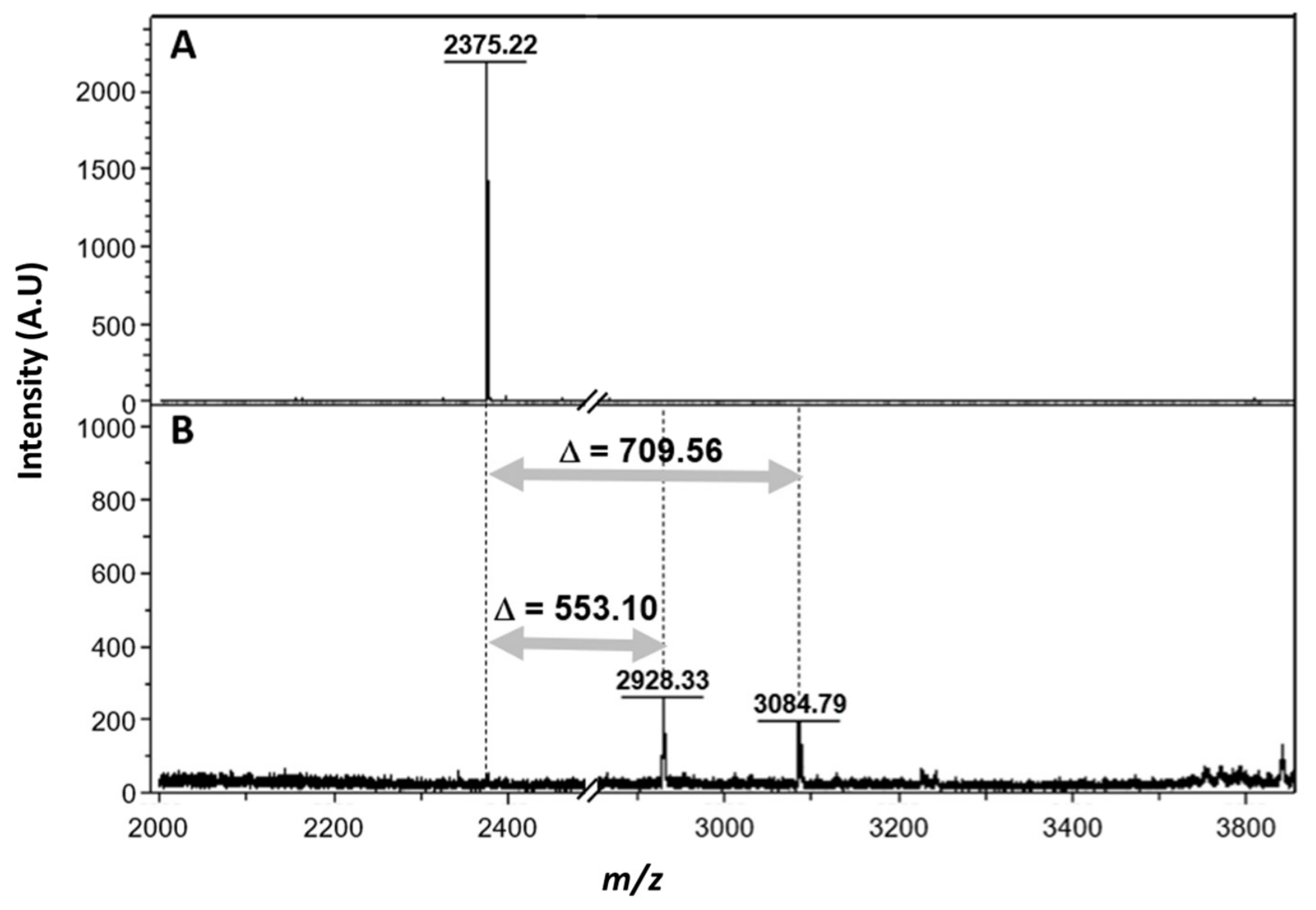 Molecules 31 03737 g004