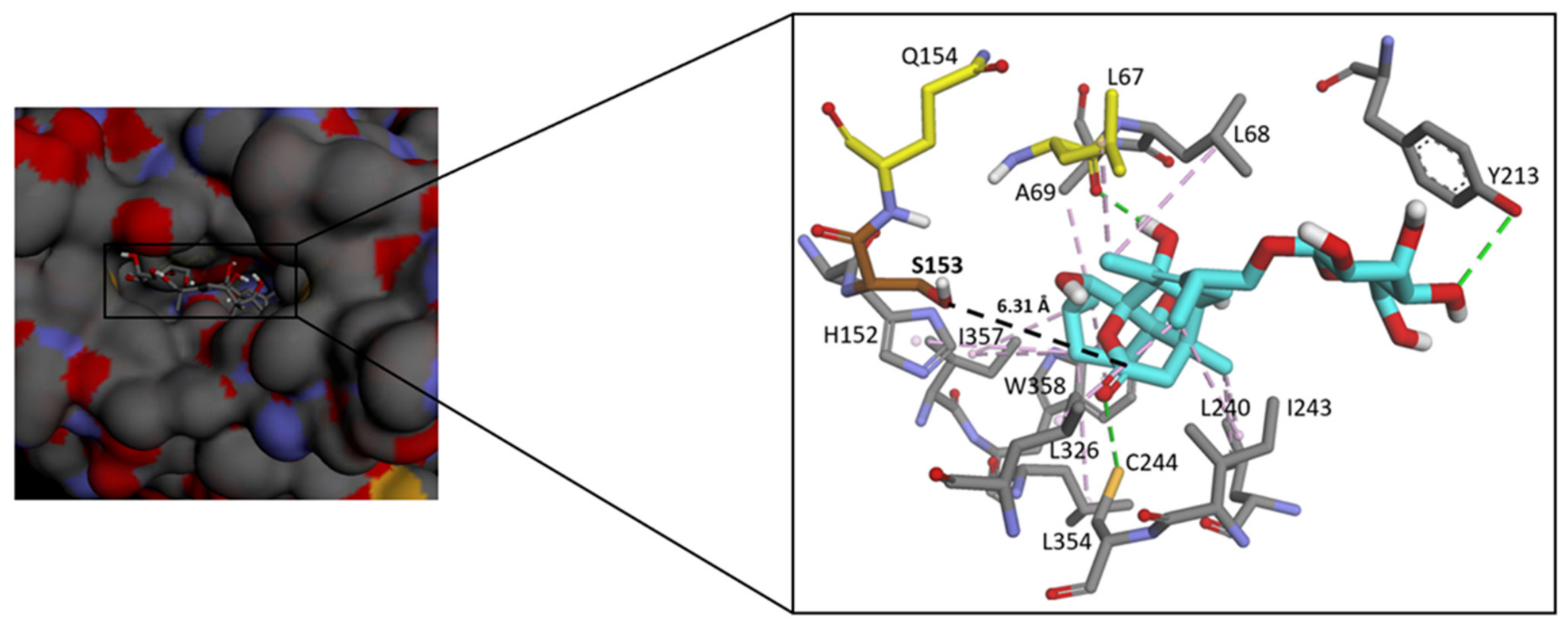 Molecules 31 03737 g005