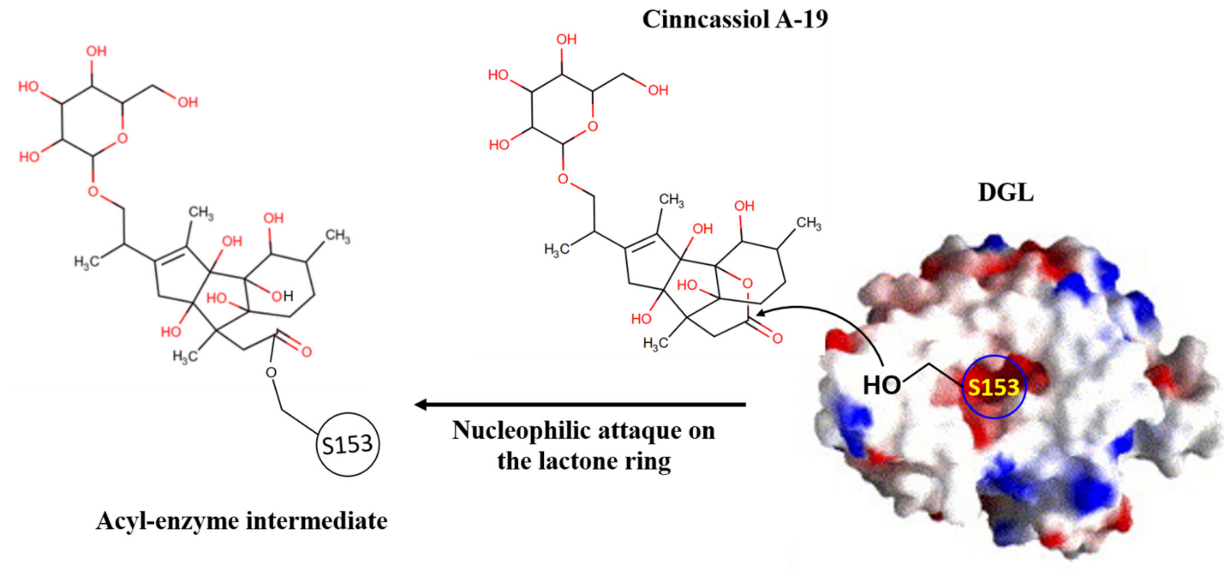 Molecules 31 03737 g006
