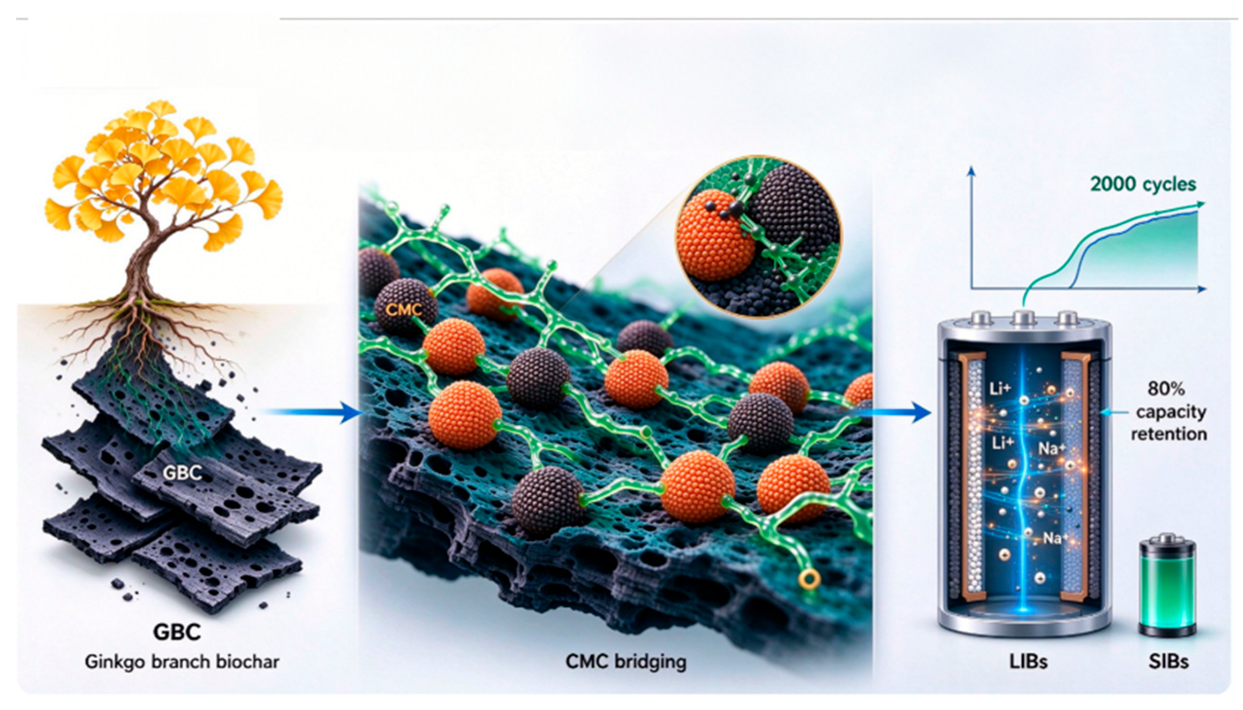 Molecules 31 03749 g006 Molecules 31 03749 g006