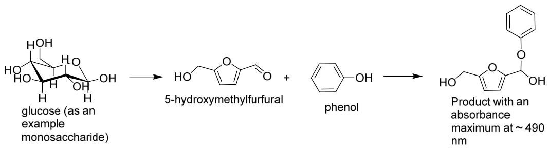 Molecules 31 03794 g001 Molecules 31 03794 g001