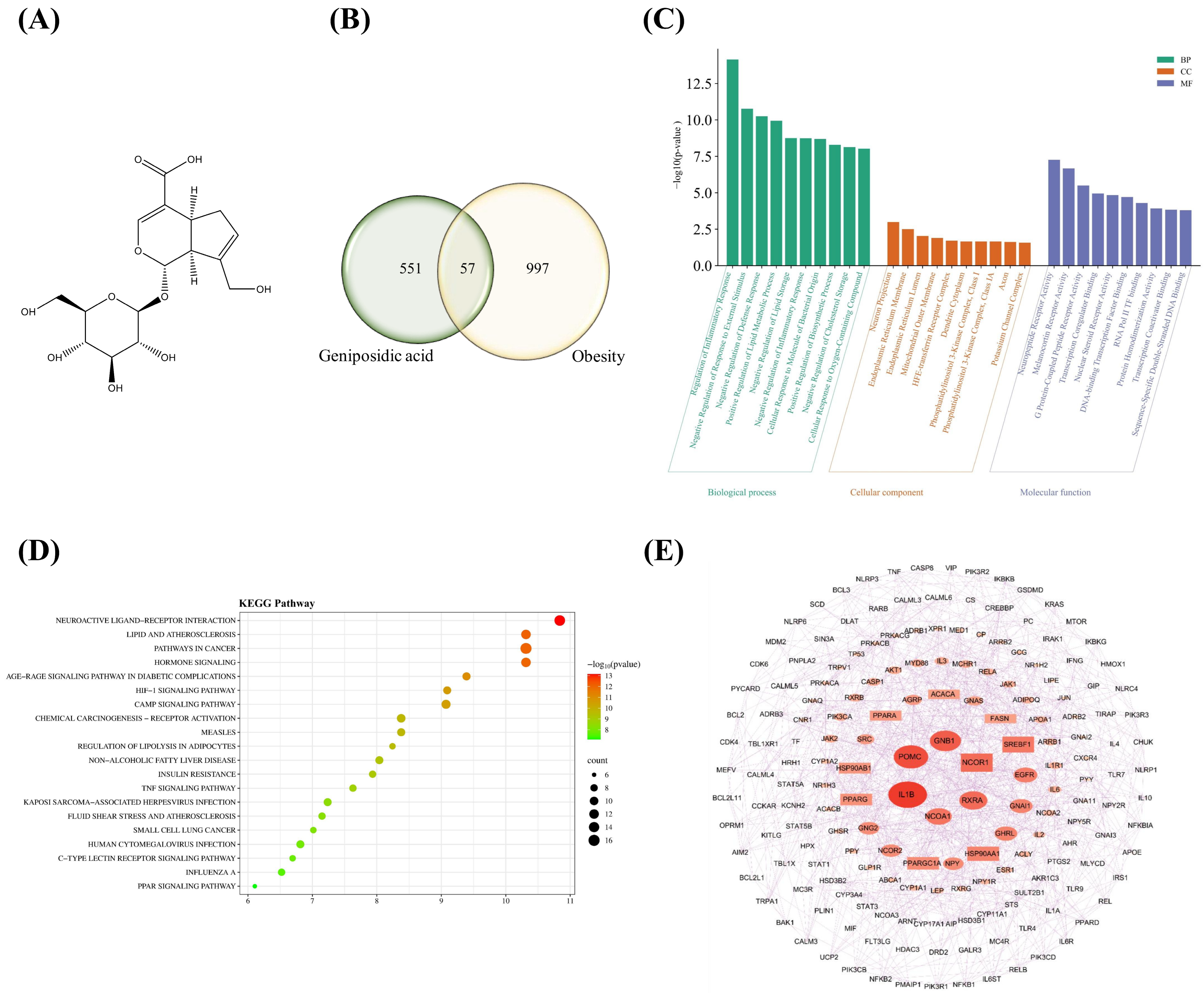 Molecules 31 03806 g001