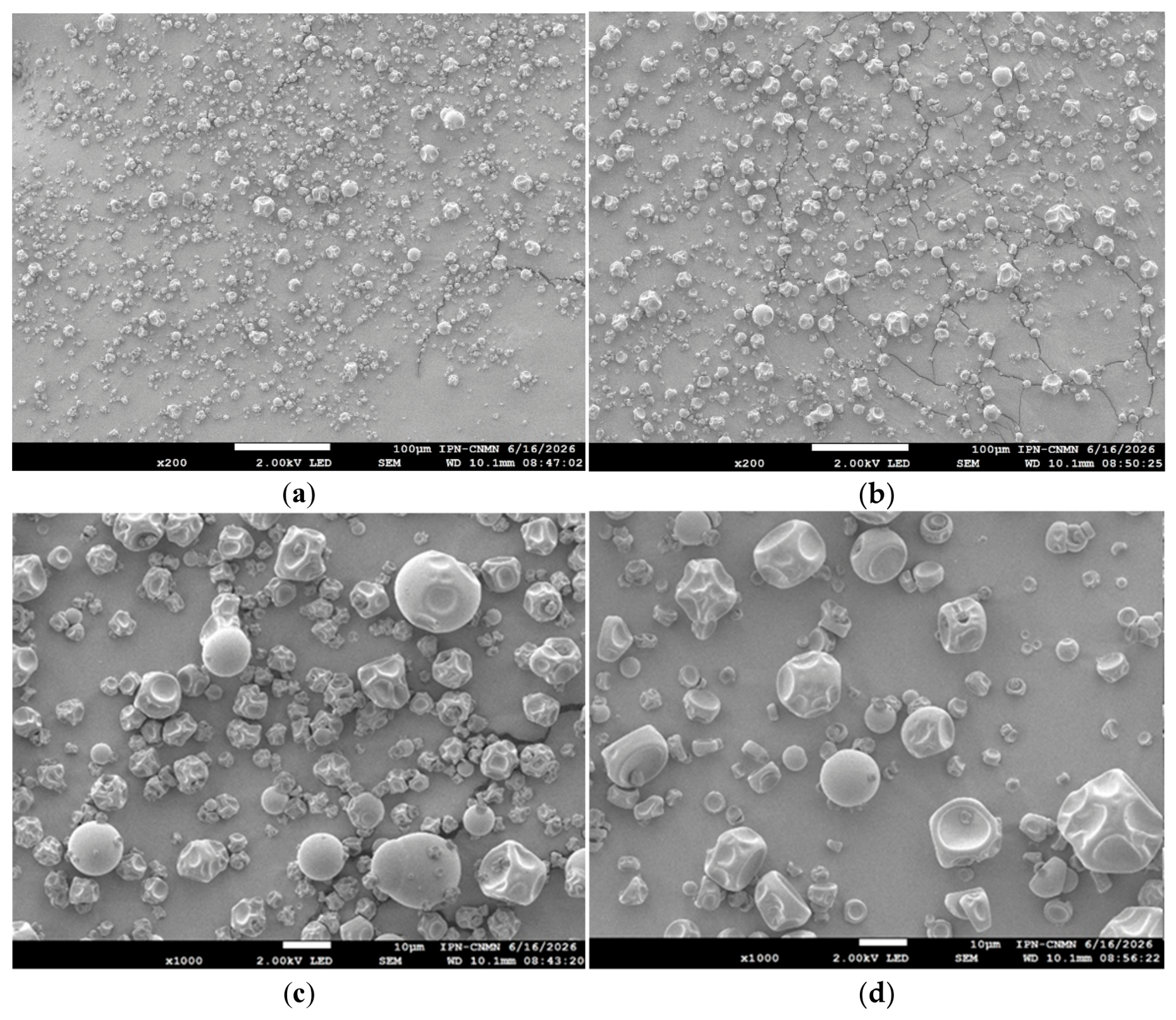 Molecules 31 03821 g005