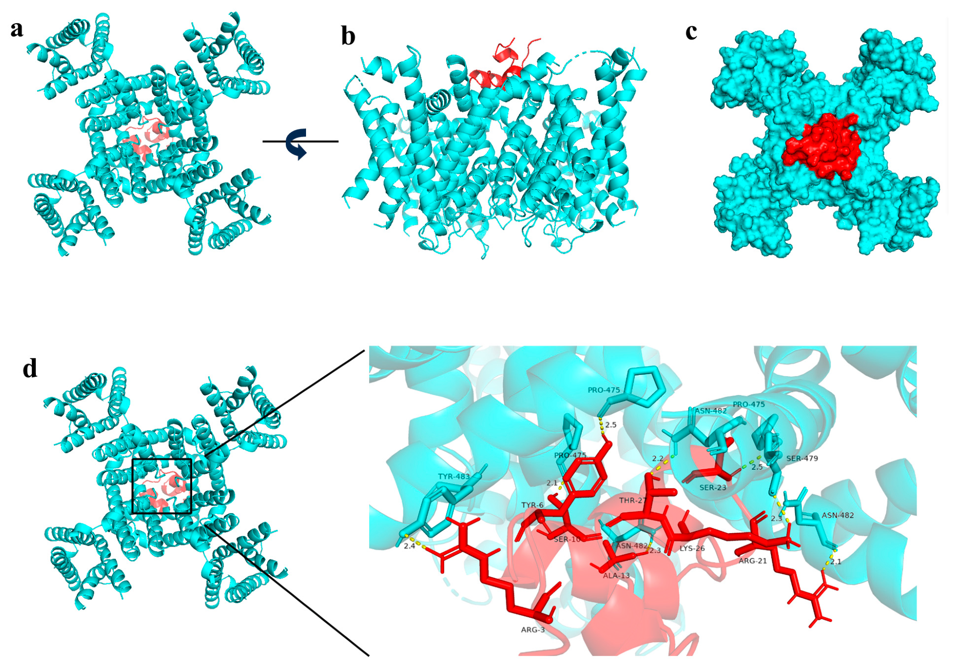 Molecules 31 03822 g005