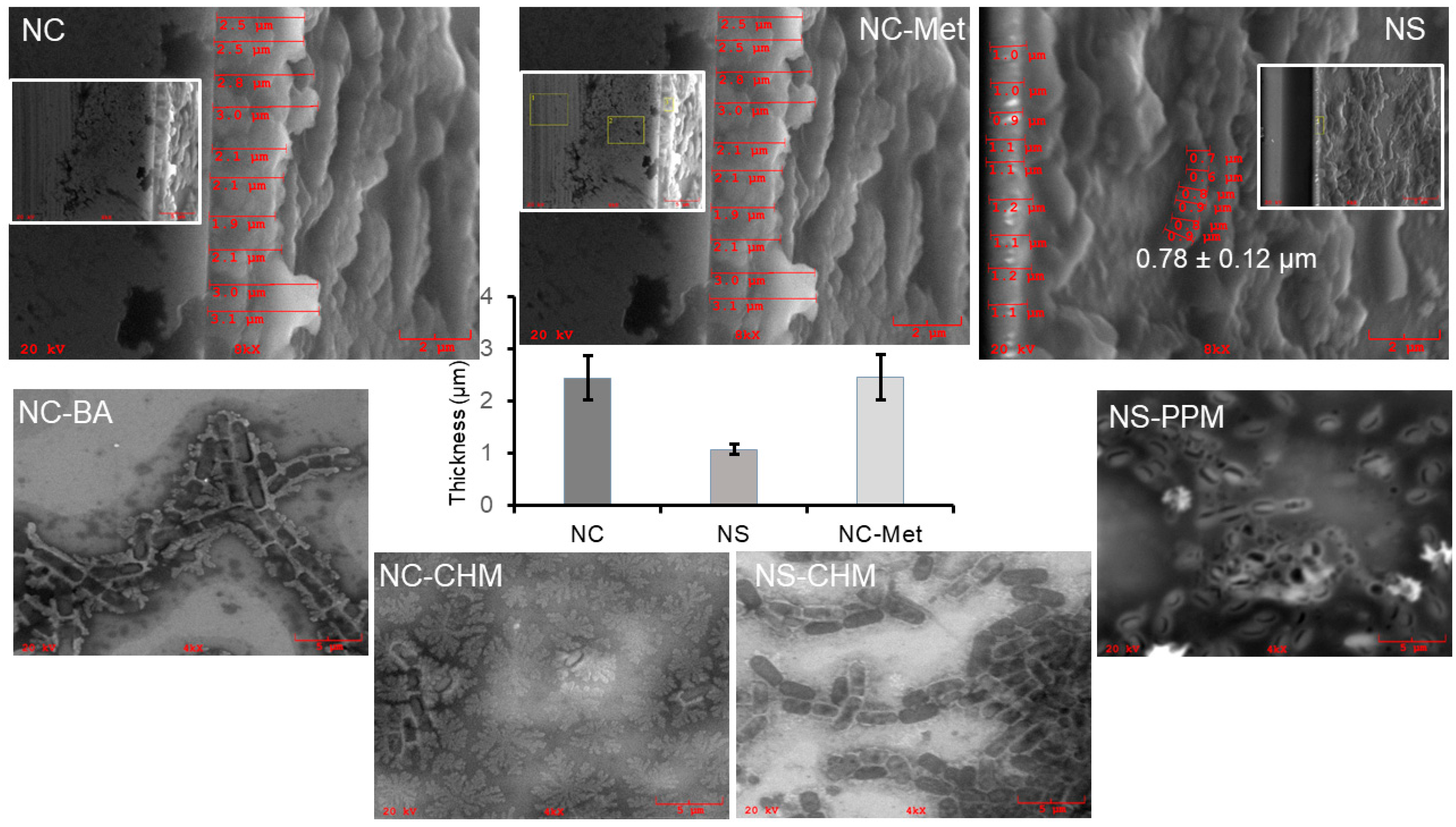 Molecules 31 03836 g004 Molecules 31 03836 g004