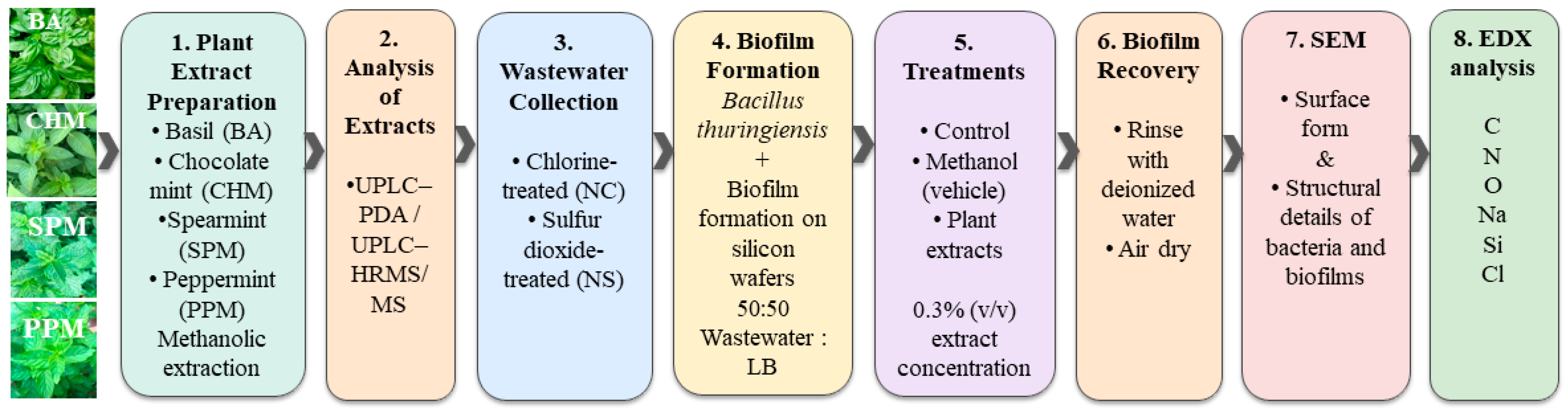 Molecules 31 03836 sch001 Molecules 31 03836 sch001
