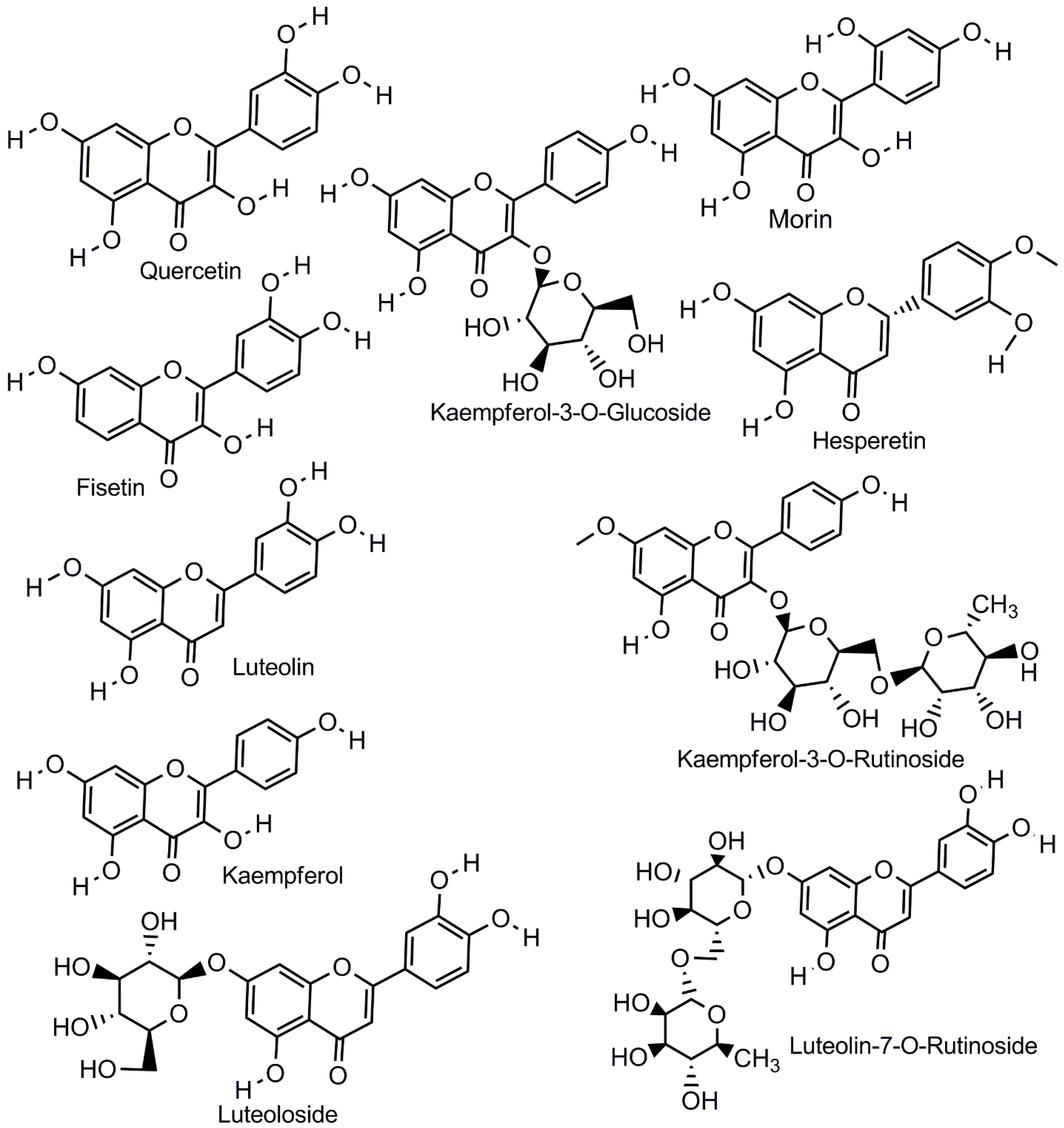 Molecules 31 03836 sch002 Molecules 31 03836 sch002