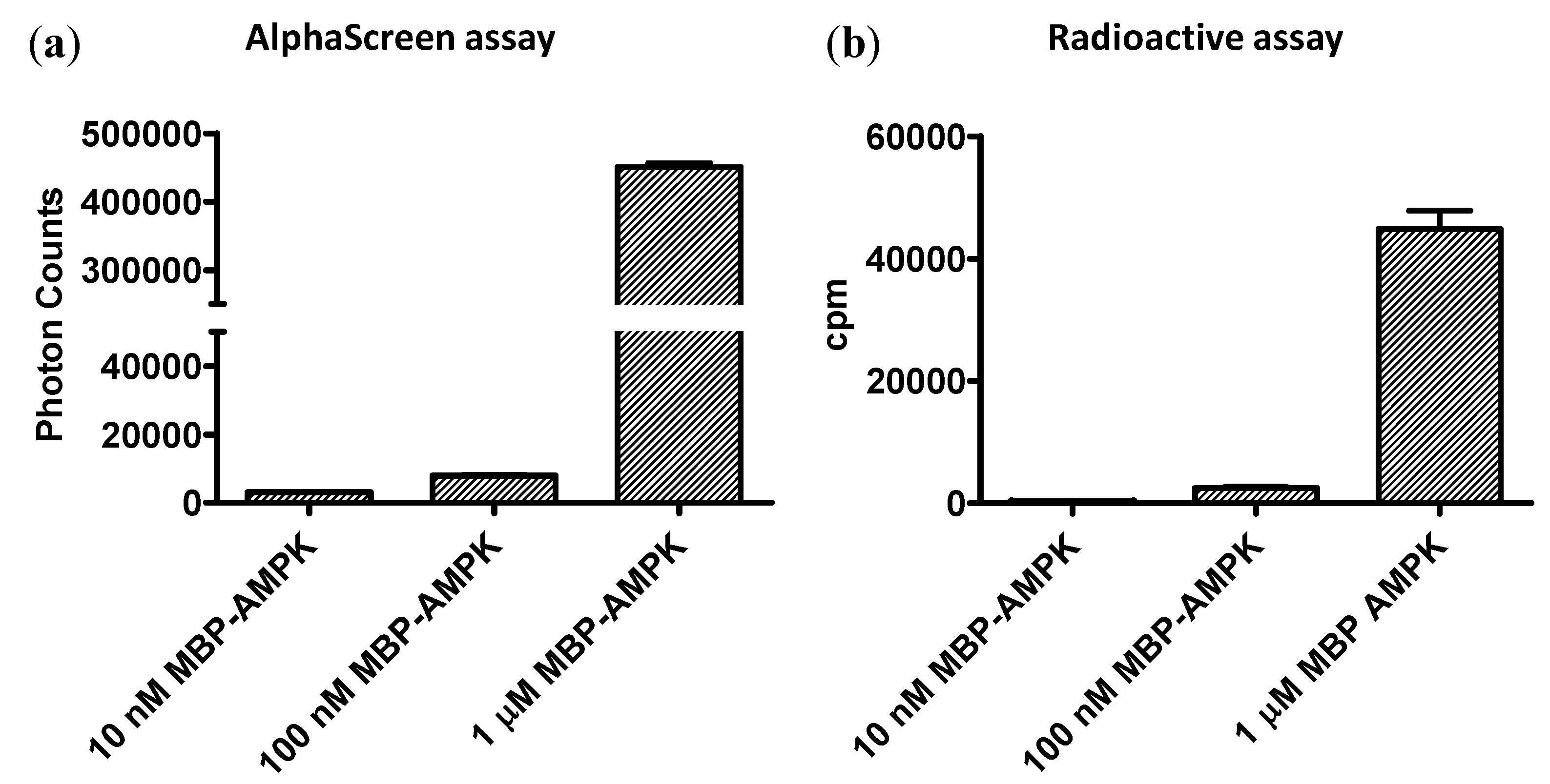 Mps 01 00003 g005 Mps 01 00003 g005