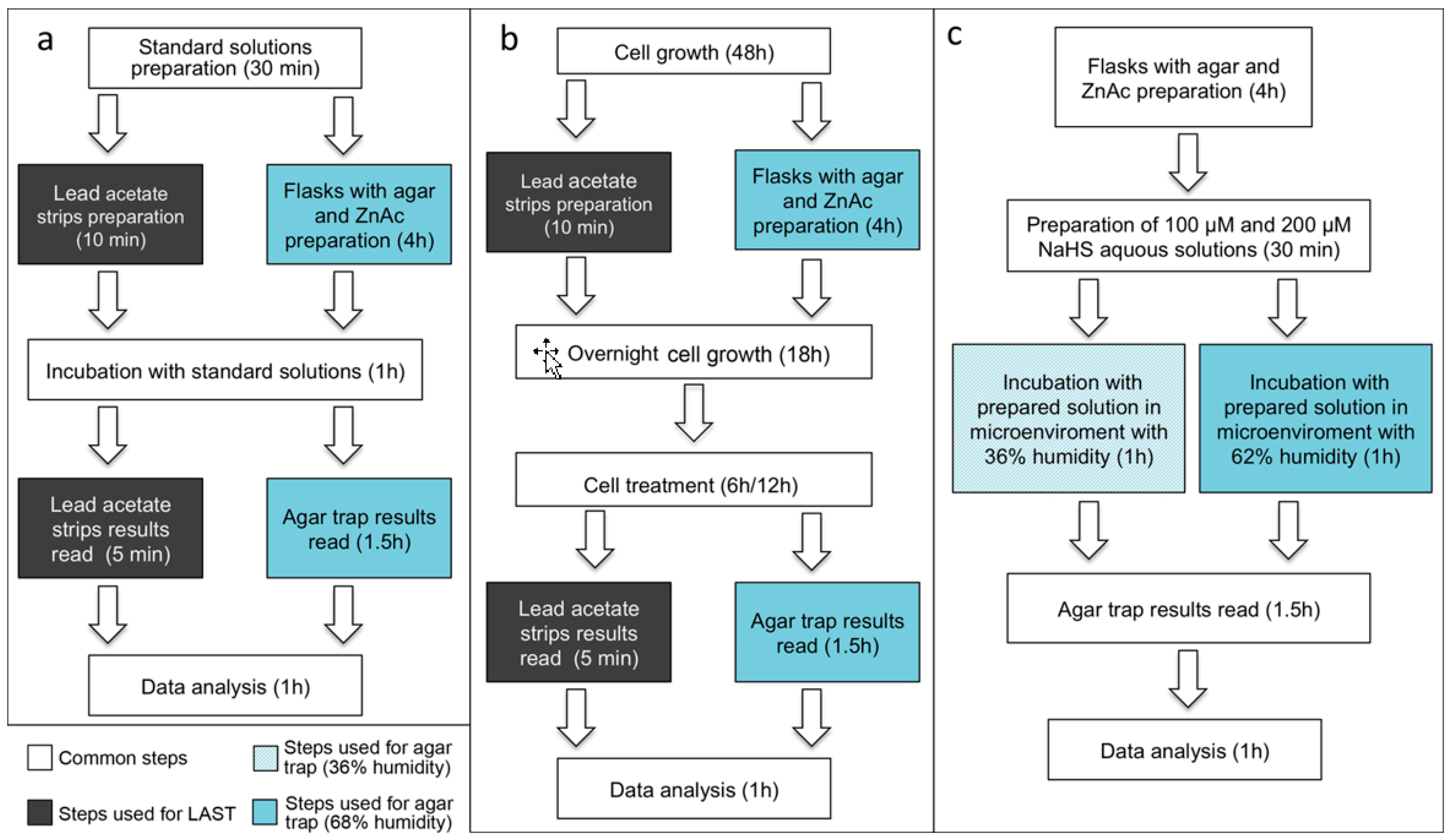 Mps 02 00013 g001 Mps 02 00013 g001
