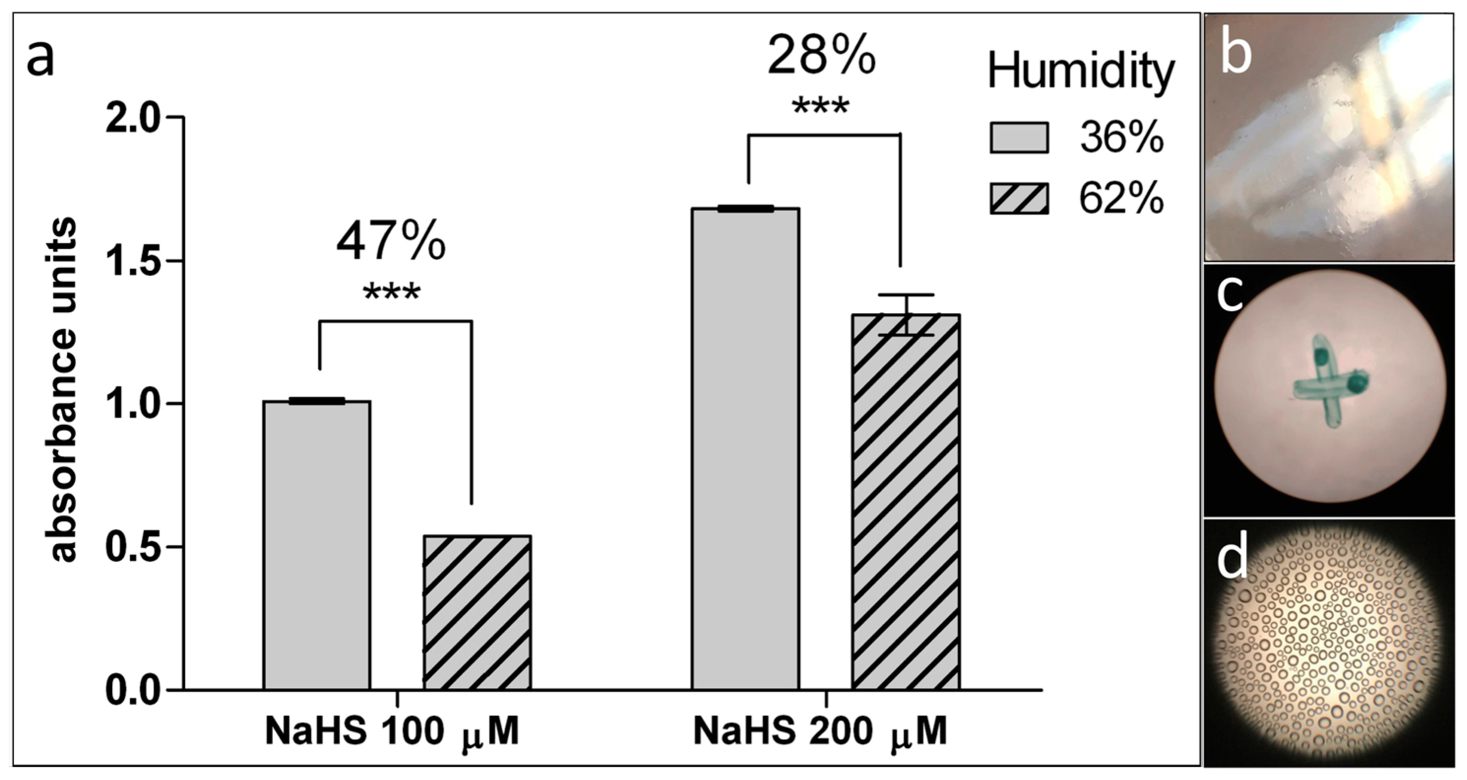Mps 02 00013 g005 Mps 02 00013 g005
