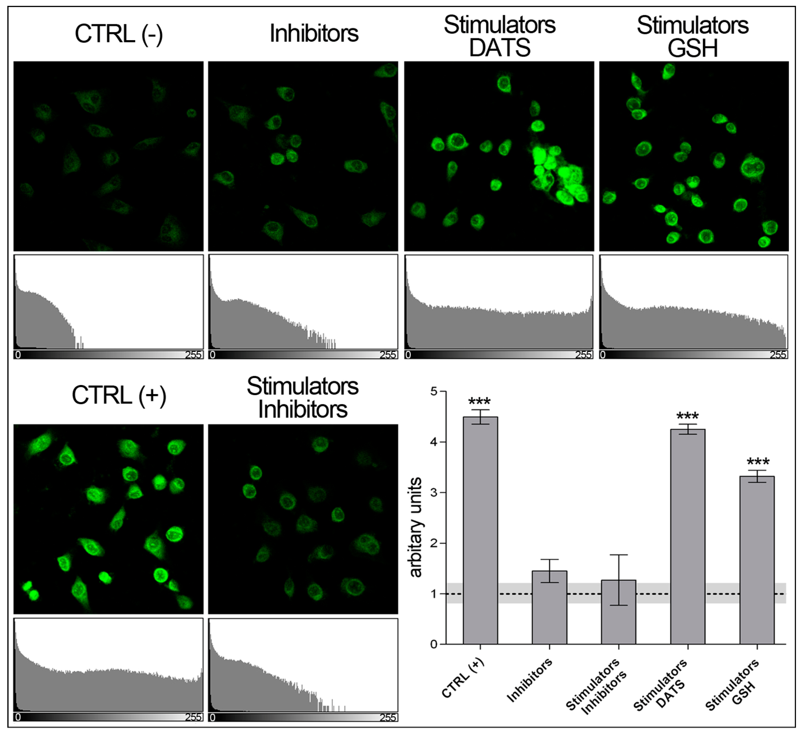 Mps 02 00013 g006 Mps 02 00013 g006