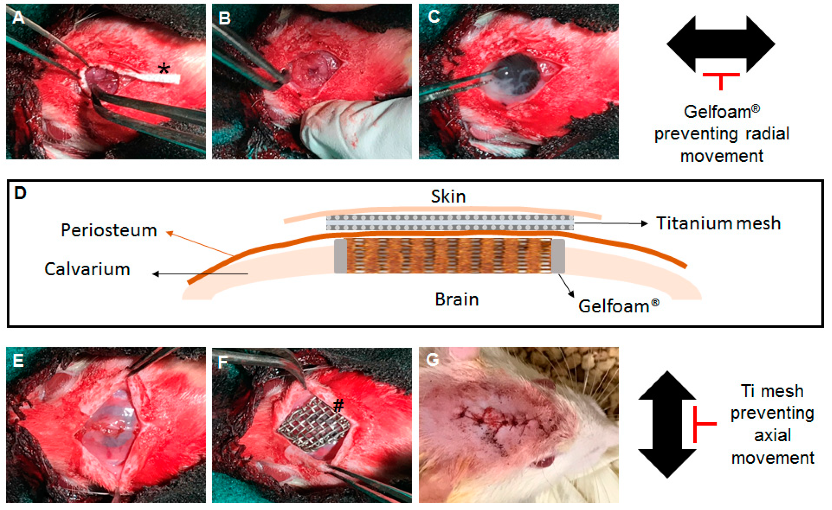 Mps 02 00020 g001 Mps 02 00020 g001