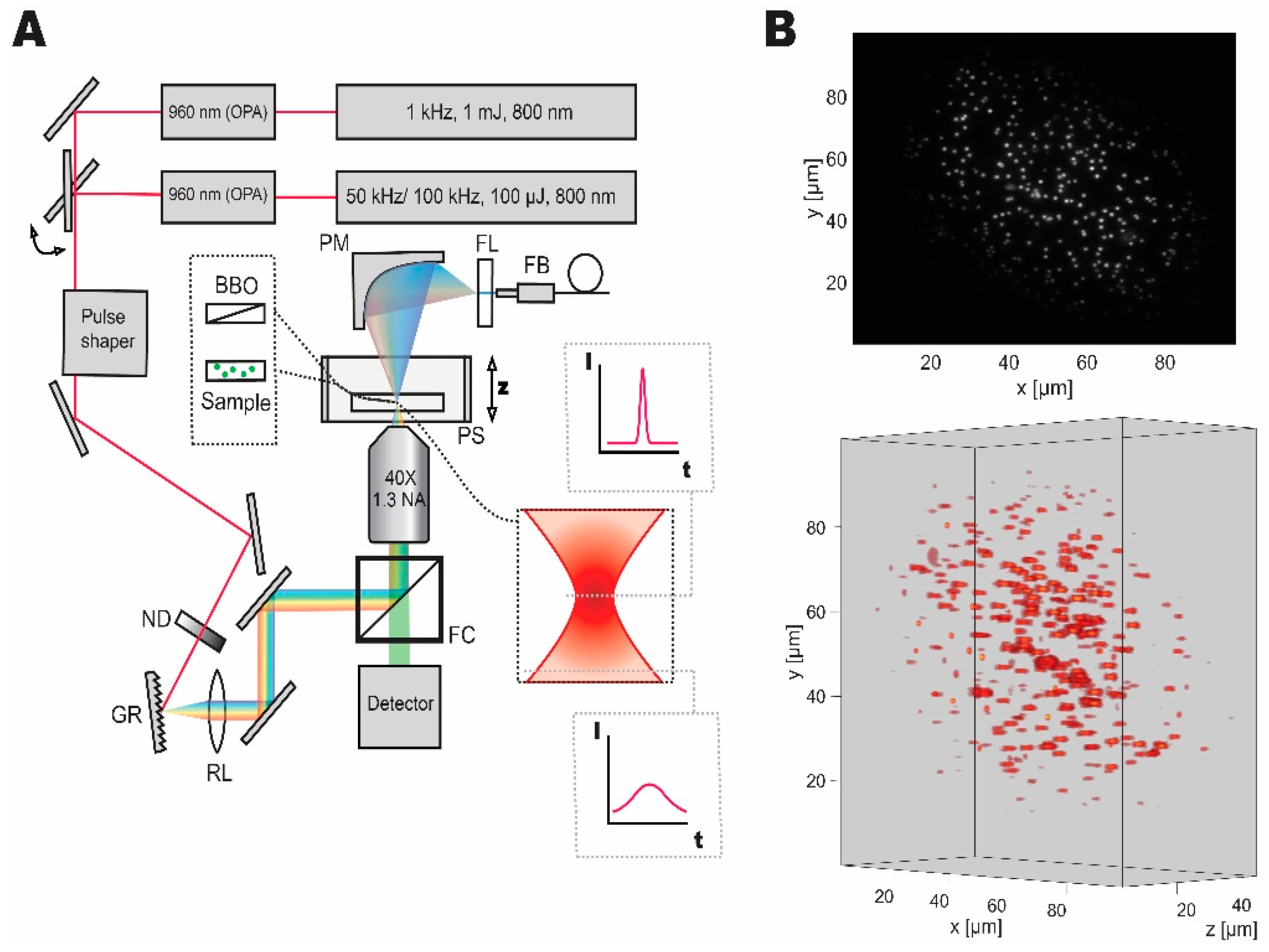 Mps 02 00065 g001 Mps 02 00065 g001