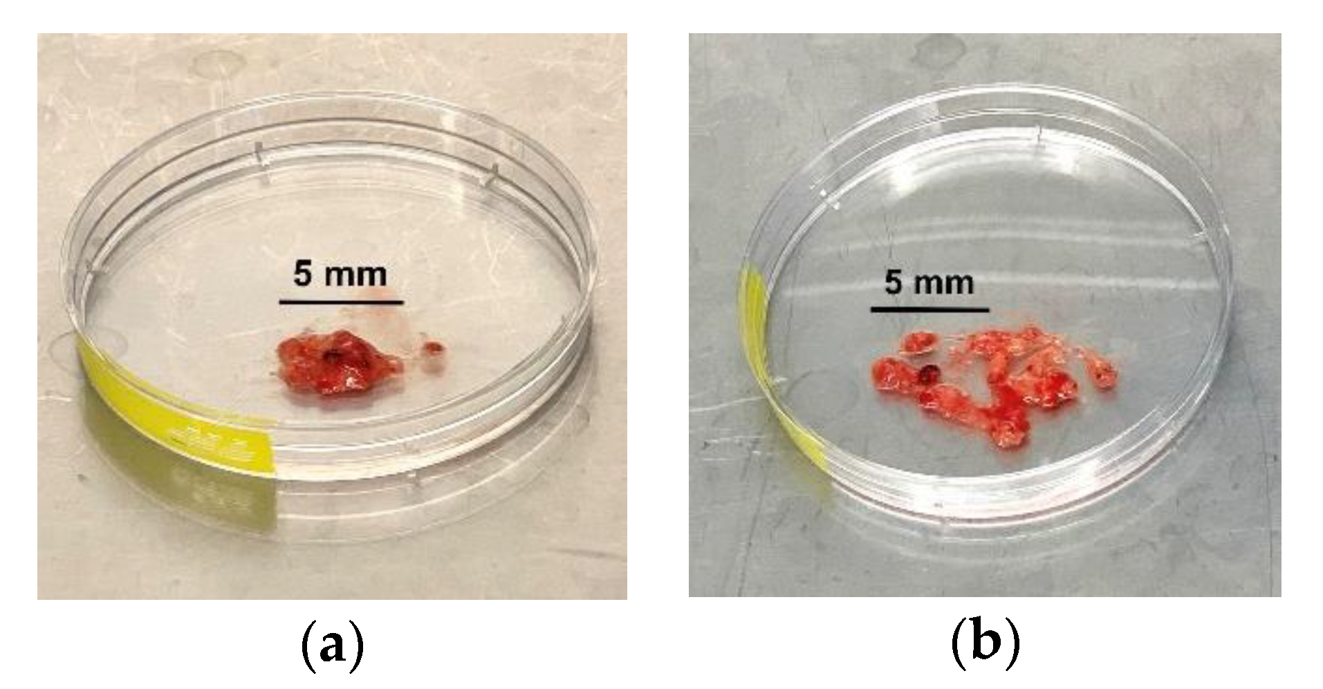 Mps 03 00011 g001 Mps 03 00011 g001