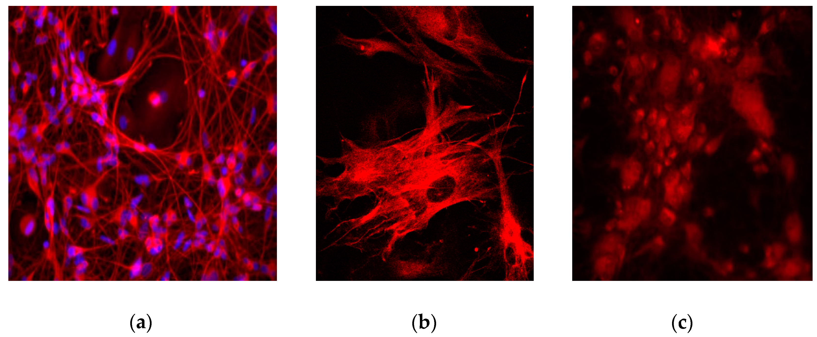 Mps 03 00011 g002 Mps 03 00011 g002