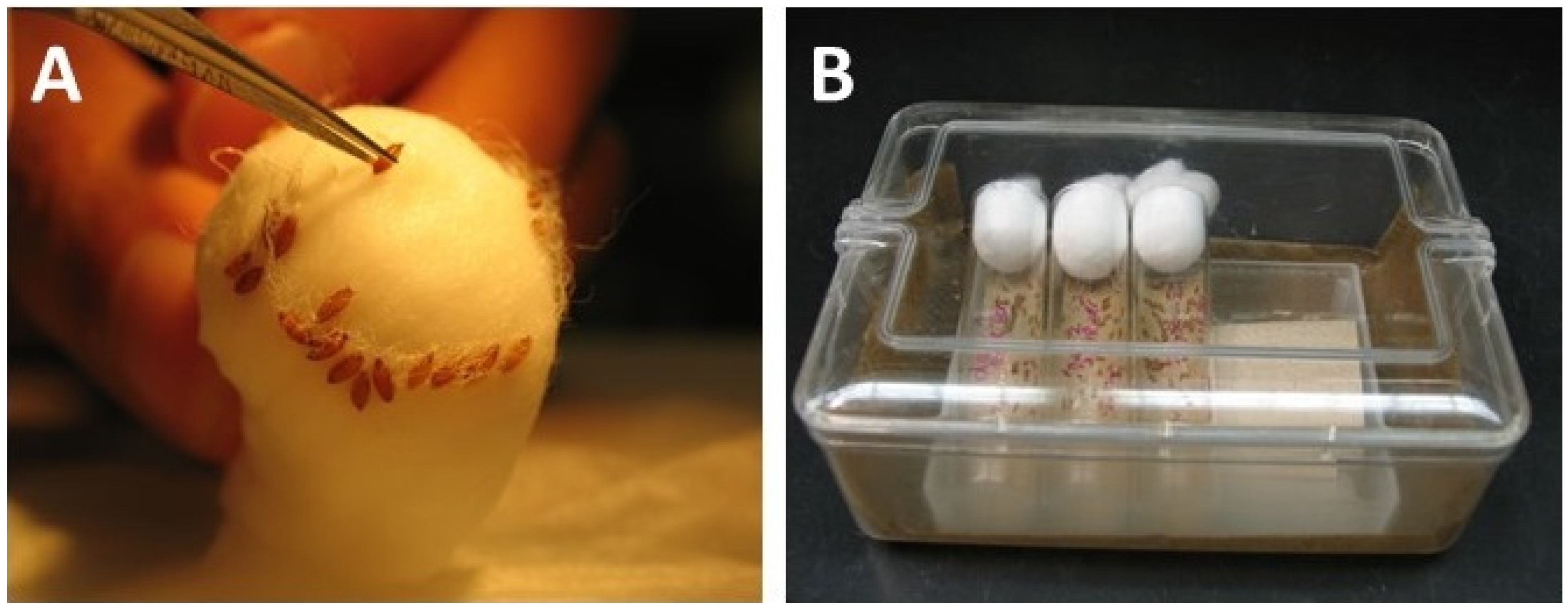 Mps 03 00031 g007 Mps 03 00031 g007
