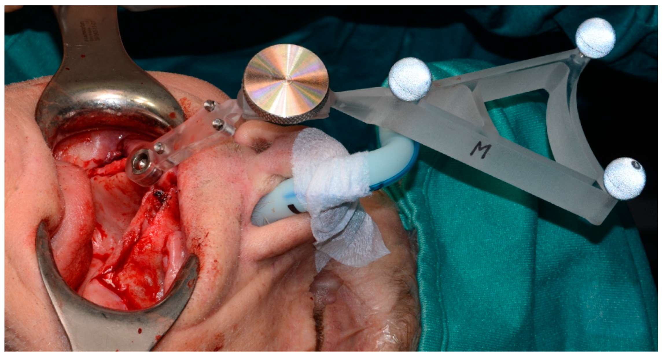 Mps 03 00075 g004 Mps 03 00075 g004