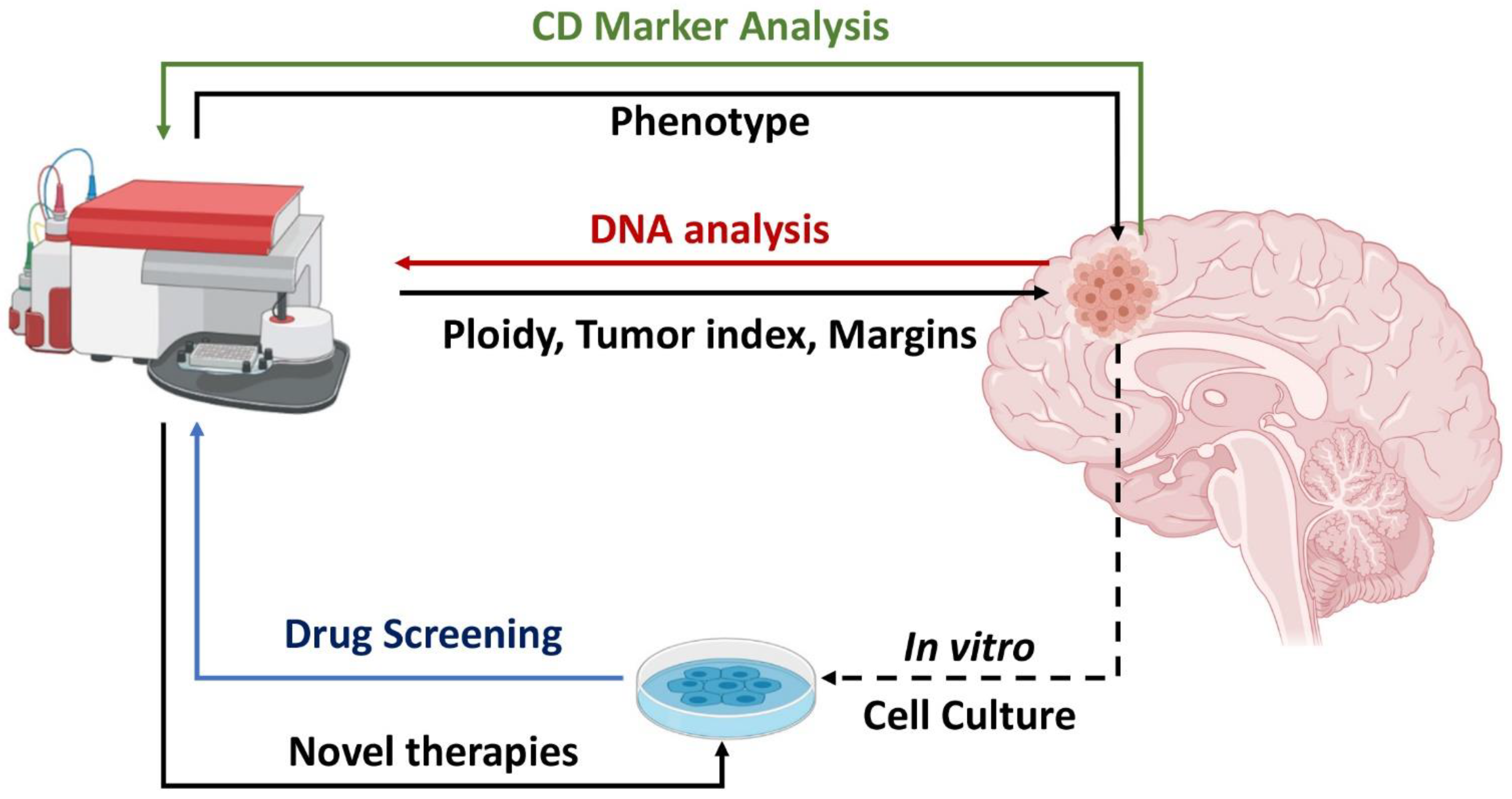 Mps 04 00011 g001 Mps 04 00011 g001