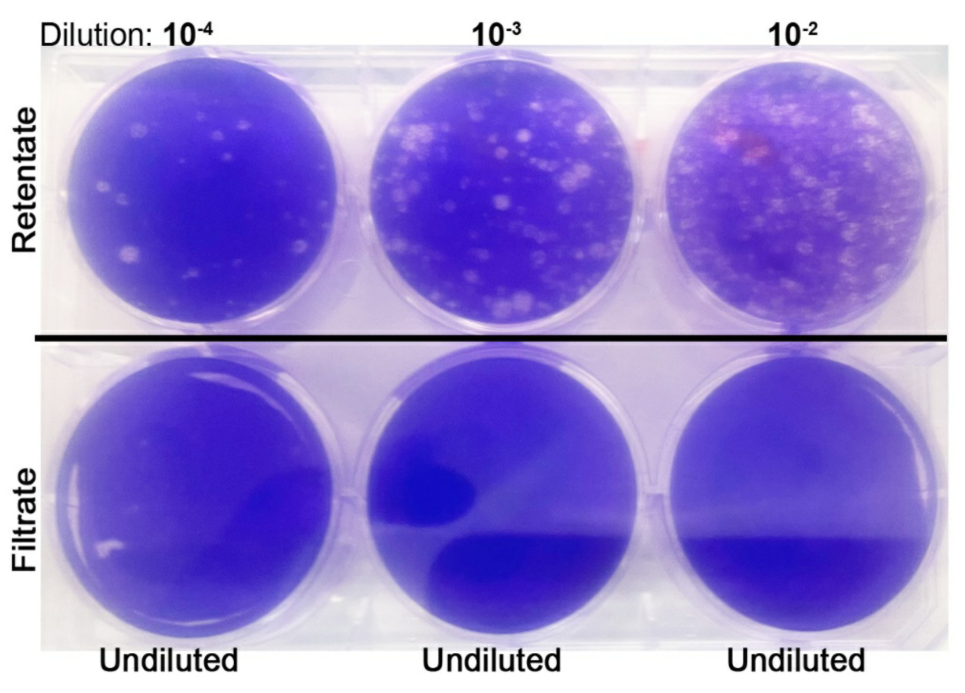 Mps 04 00018 g001 Mps 04 00018 g001