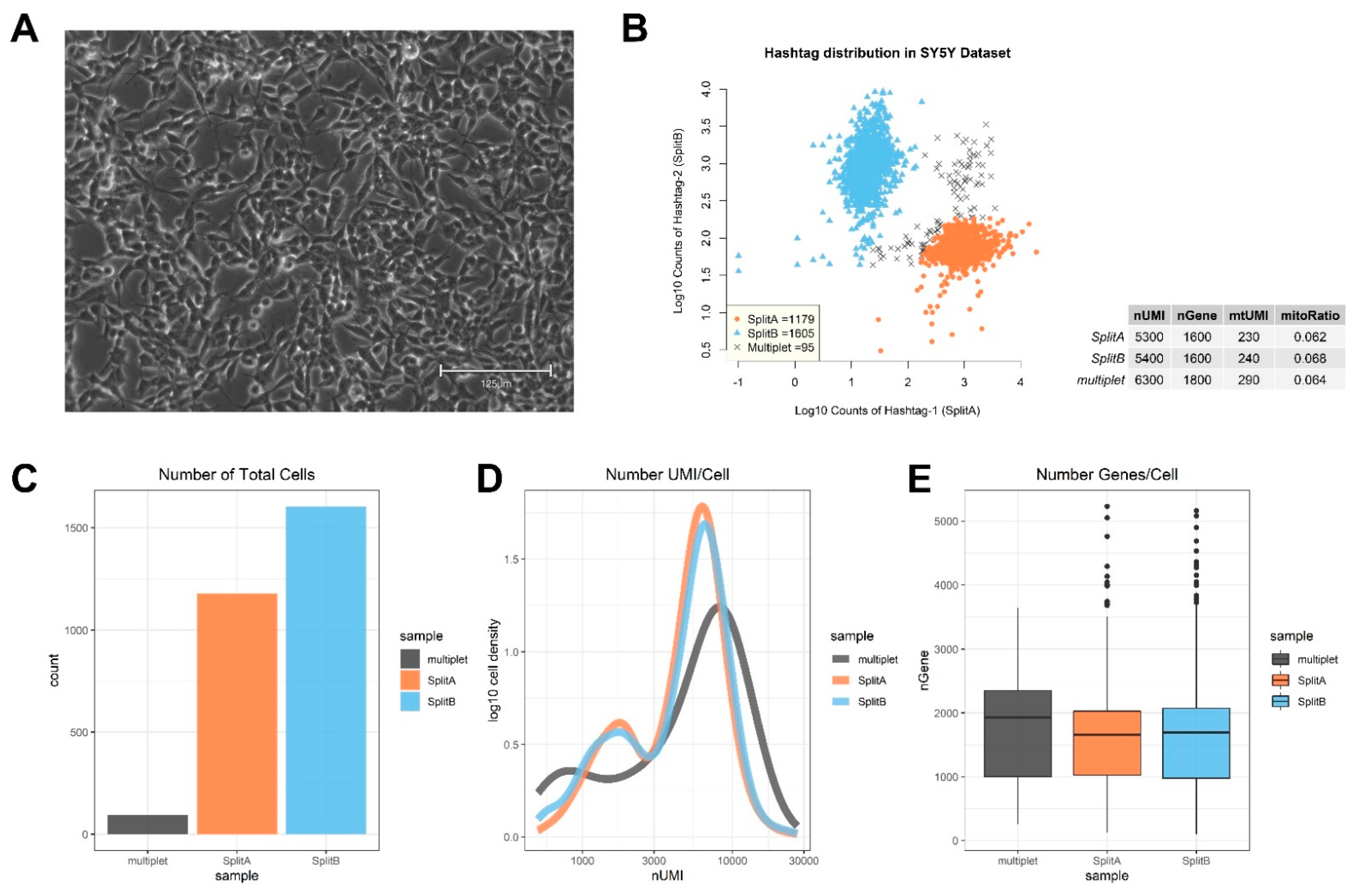 Mps 04 00028 g001 Mps 04 00028 g001