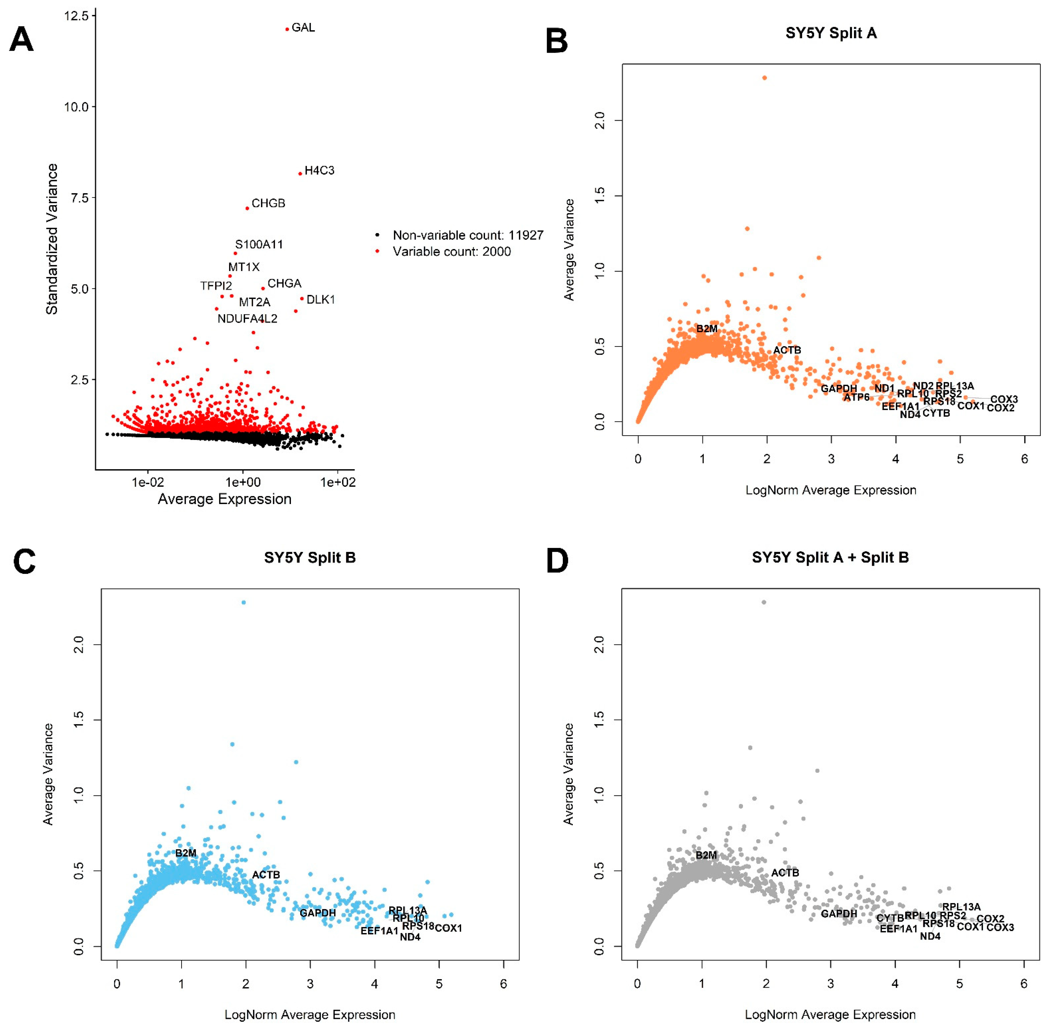 Mps 04 00028 g002 Mps 04 00028 g002