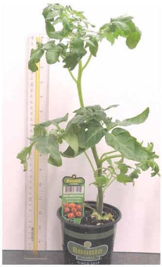 Mps 05 00056 g0a1 550