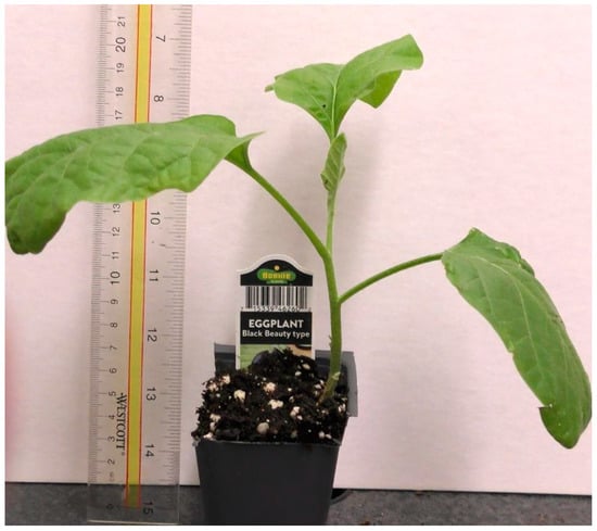 Mps 05 00056 g0a2 550