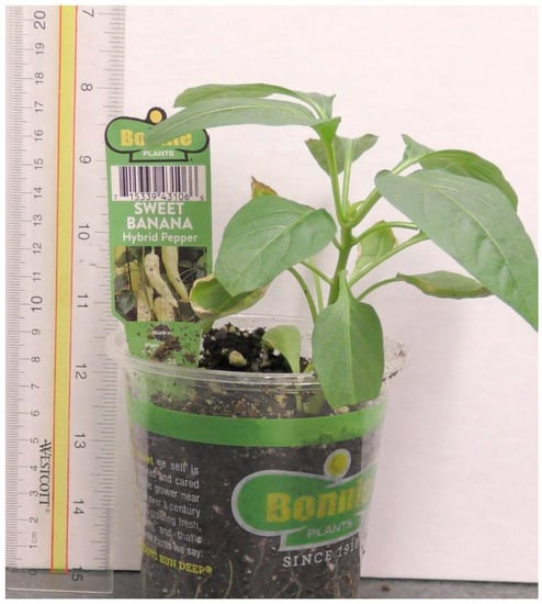 Mps 05 00056 g0a3 550