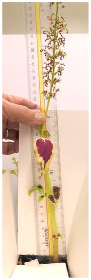 Mps 05 00056 g0a4 550