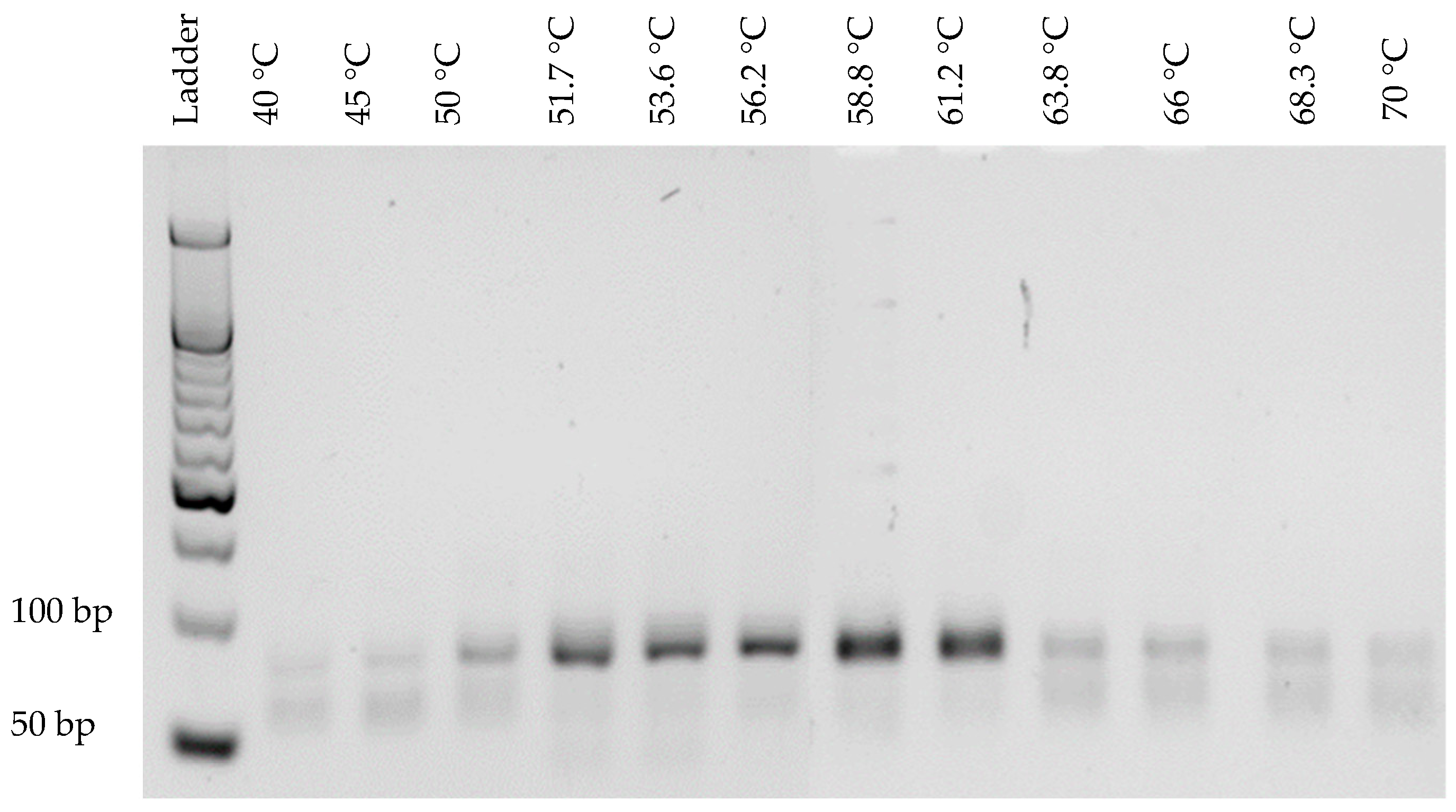 Mps 05 00089 g003 Mps 05 00089 g003