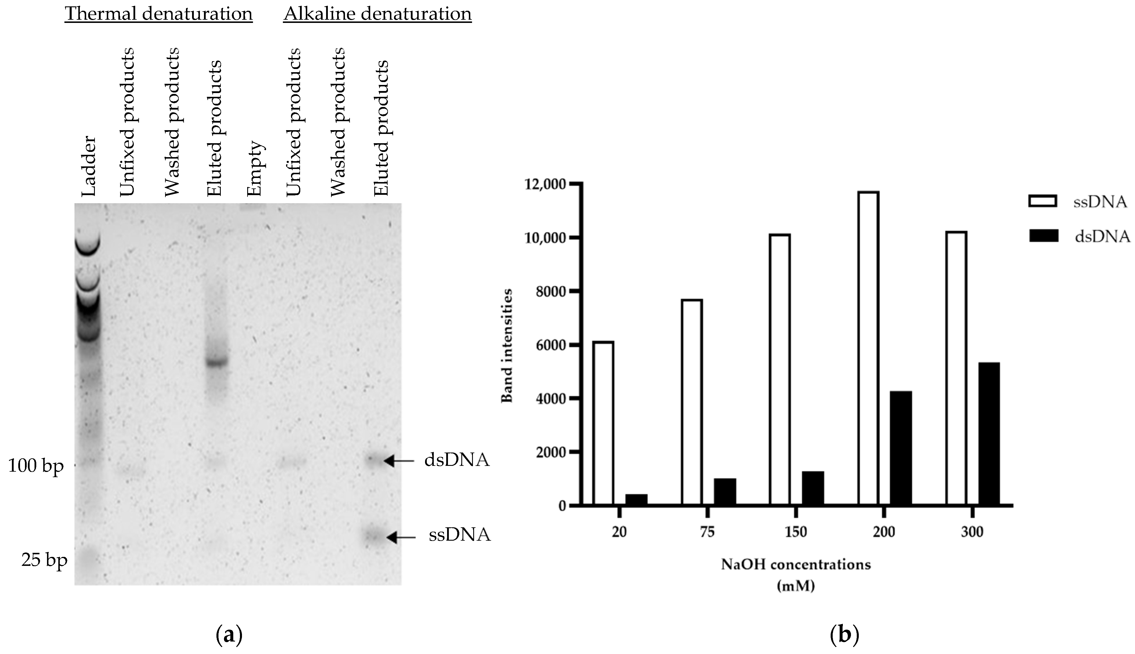 Mps 05 00089 g004 Mps 05 00089 g004
