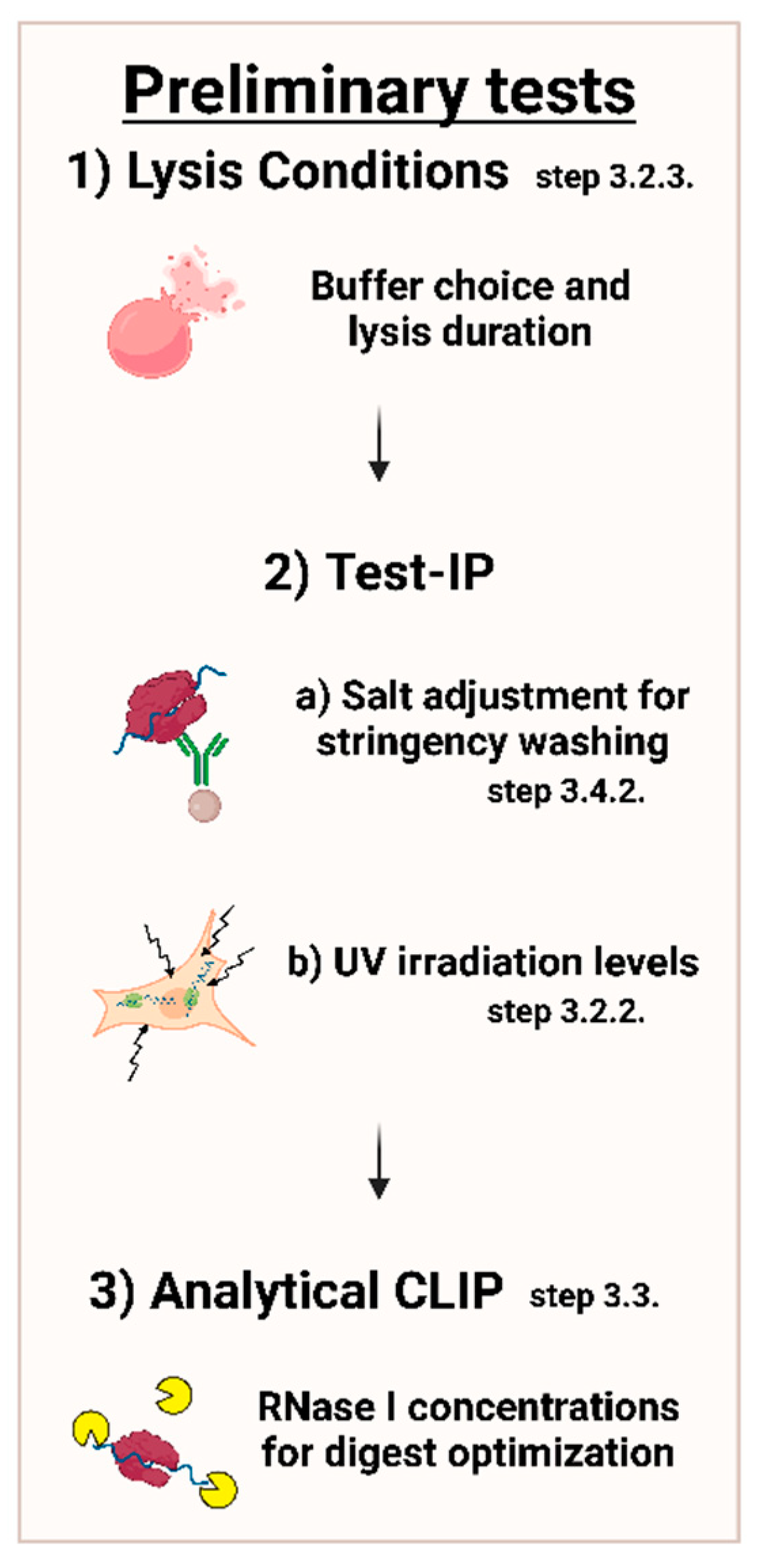 Mps 05 00096 g003 Mps 05 00096 g003