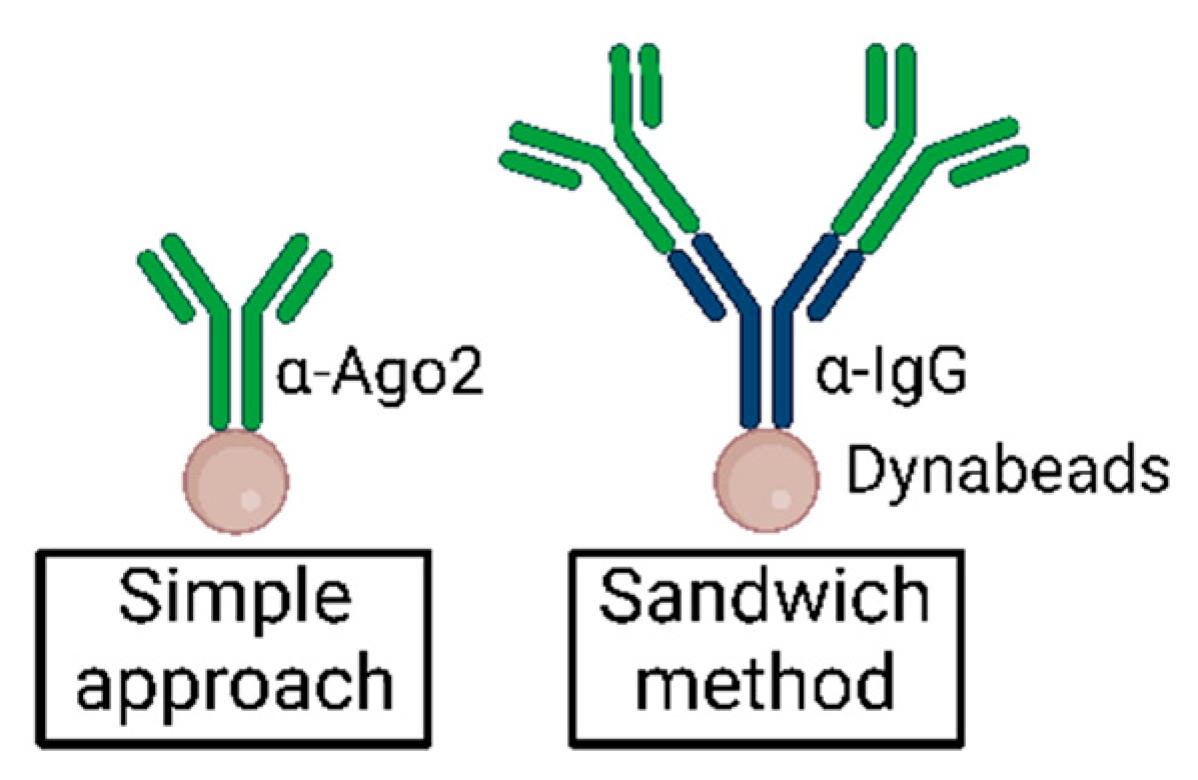 Mps 05 00096 g007 Mps 05 00096 g007