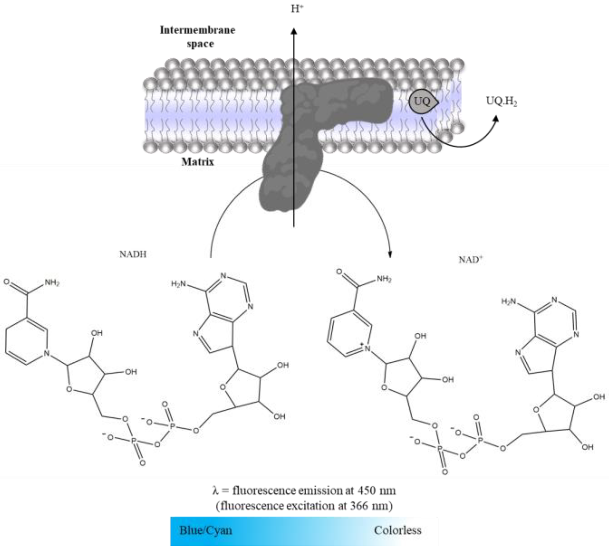 Mps 06 00032 g007 Mps 06 00032 g007