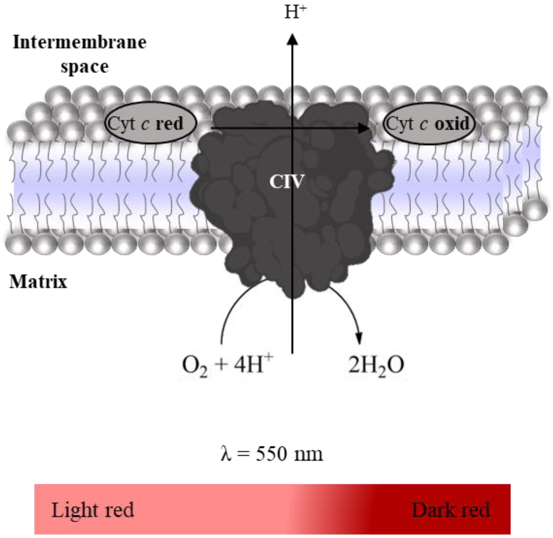 Mps 06 00032 g009 Mps 06 00032 g009