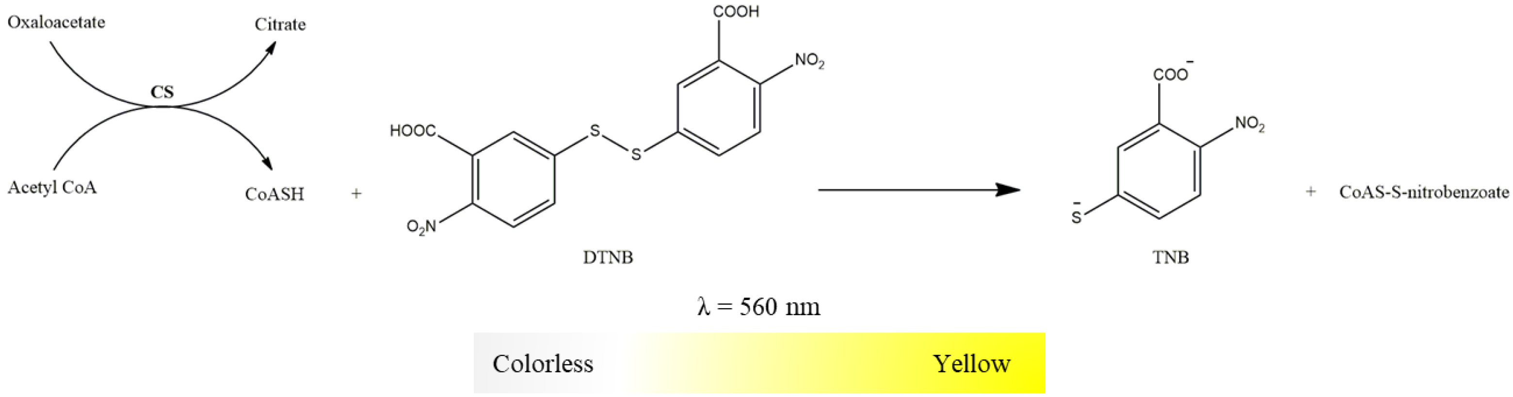 Mps 06 00032 g012 Mps 06 00032 g012