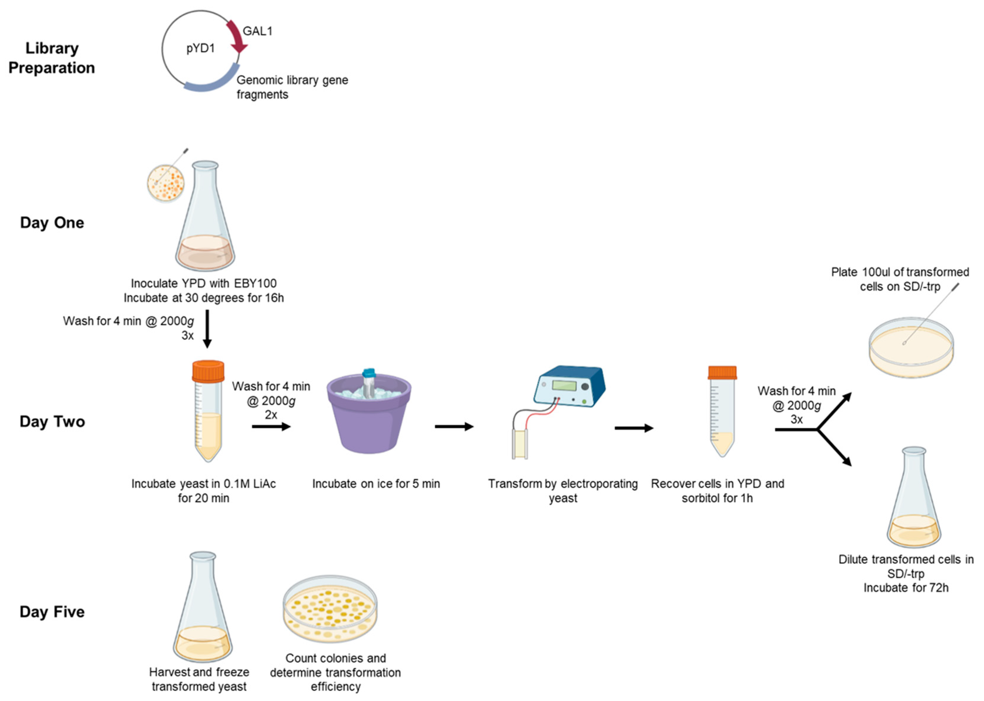 Mps 06 00089 g001 Mps 06 00089 g001