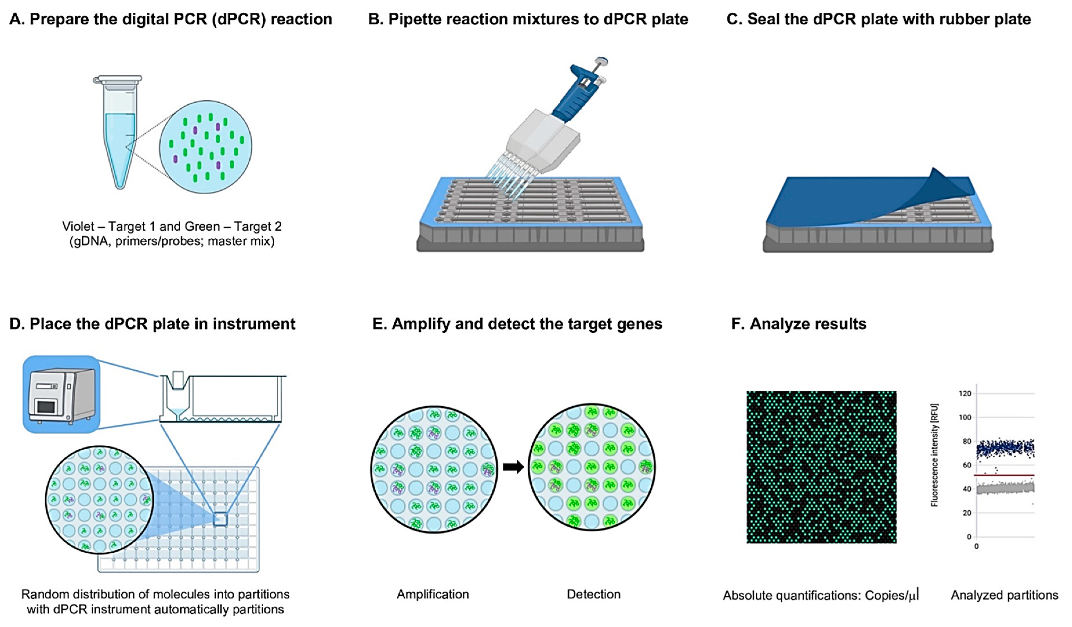 A Novel and Quantitative Detection Assay (effluxR) for Identifying ...