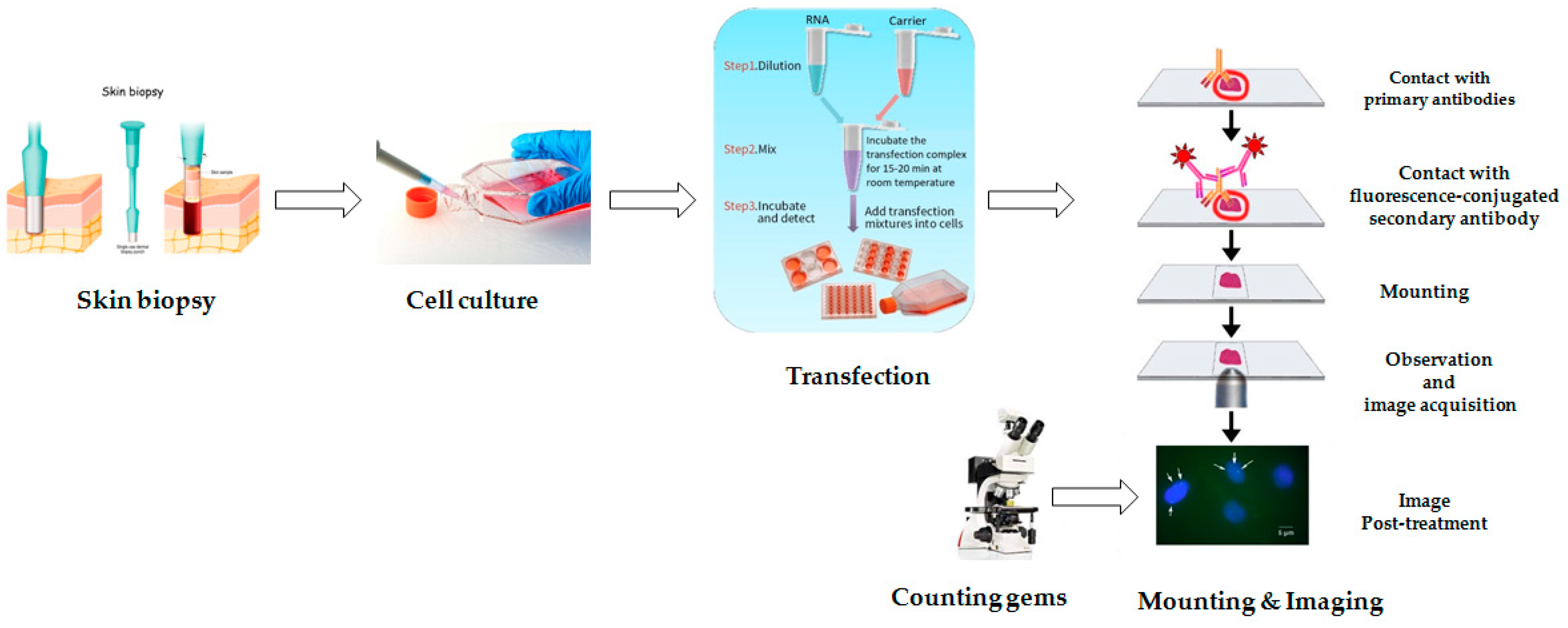 Mps 07 00009 g002 Mps 07 00009 g002