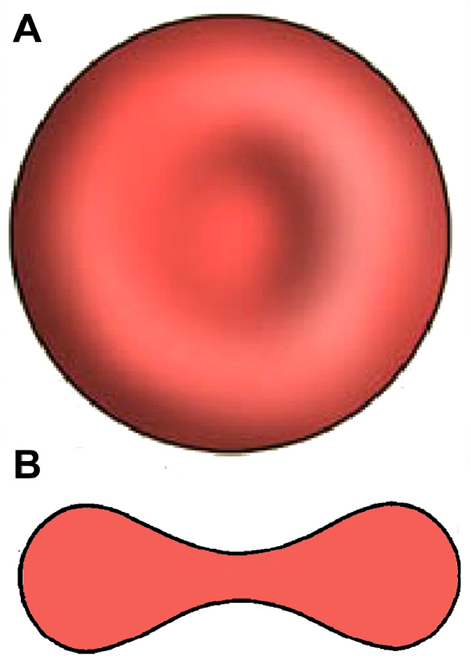 Mps 07 00011 g001 Mps 07 00011 g001