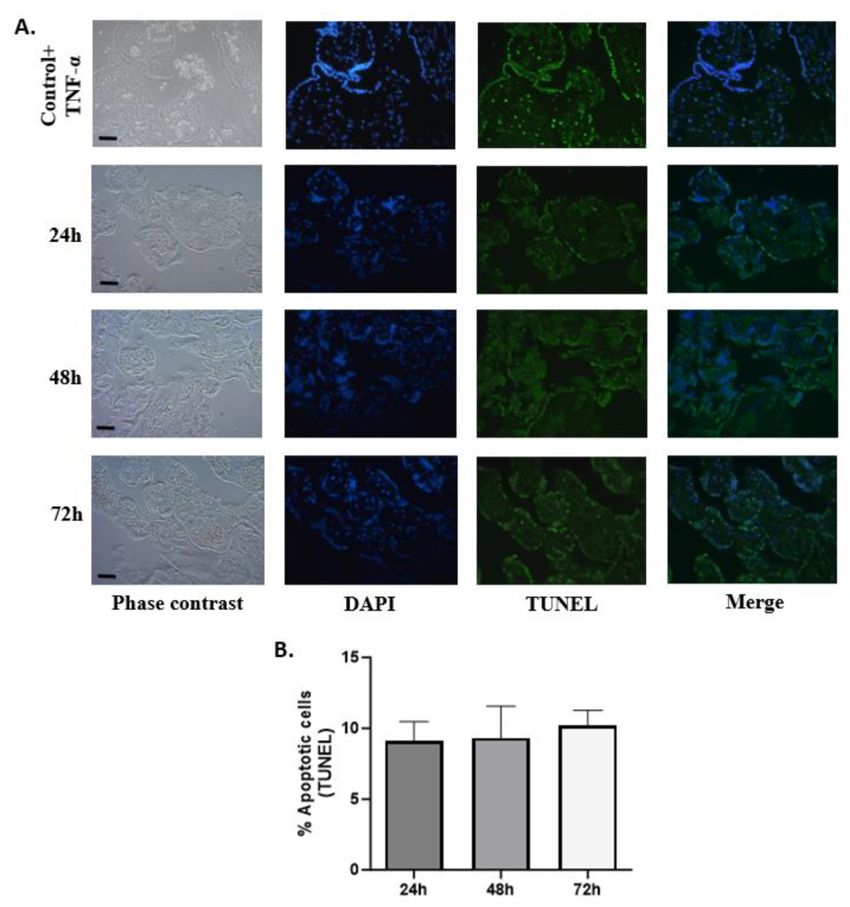 Mps 07 00016 g007 Mps 07 00016 g007