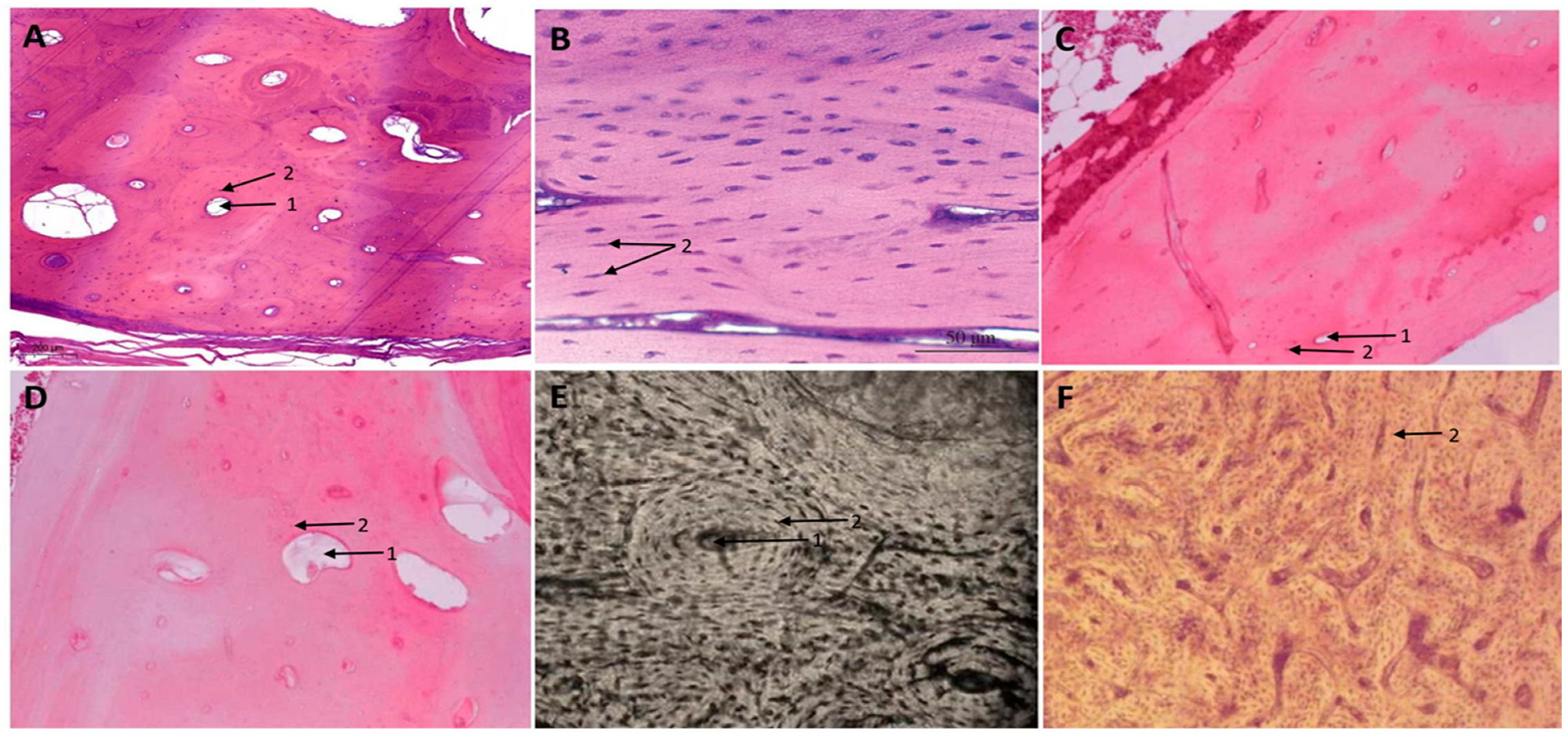 Mps 07 00051 g001 Mps 07 00051 g001