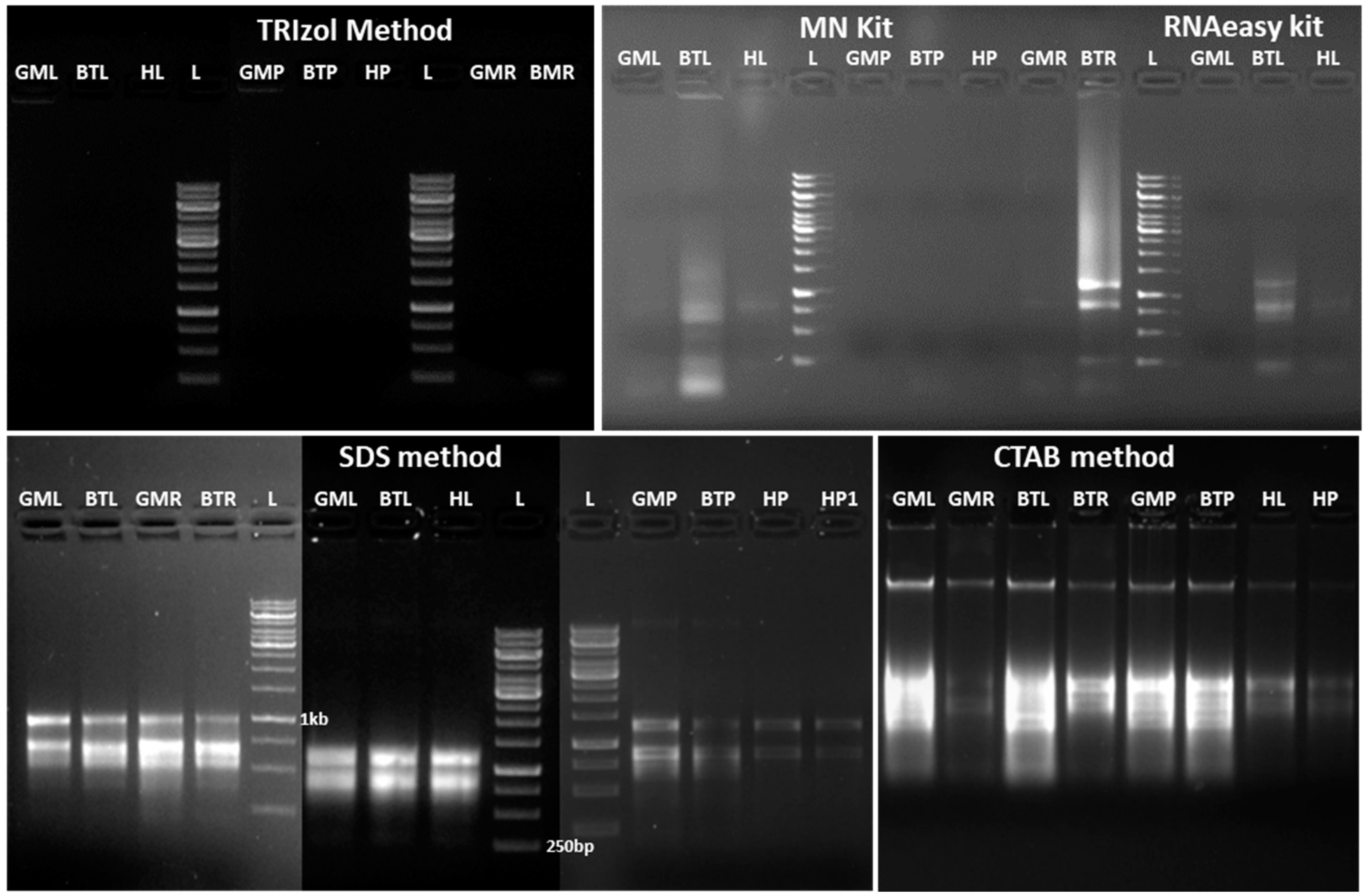 Mps 08 00021 g002 Mps 08 00021 g002