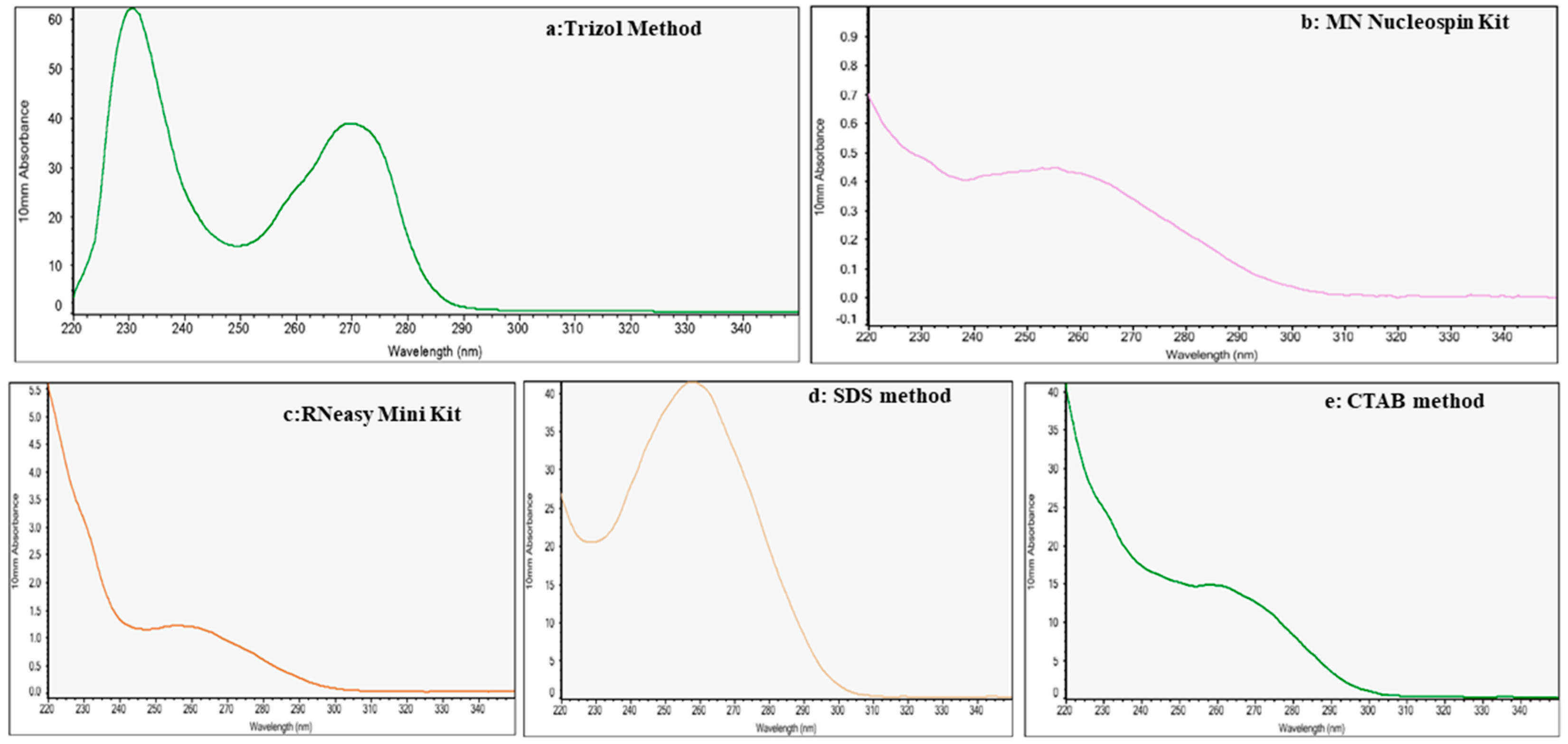 Mps 08 00021 g003 Mps 08 00021 g003