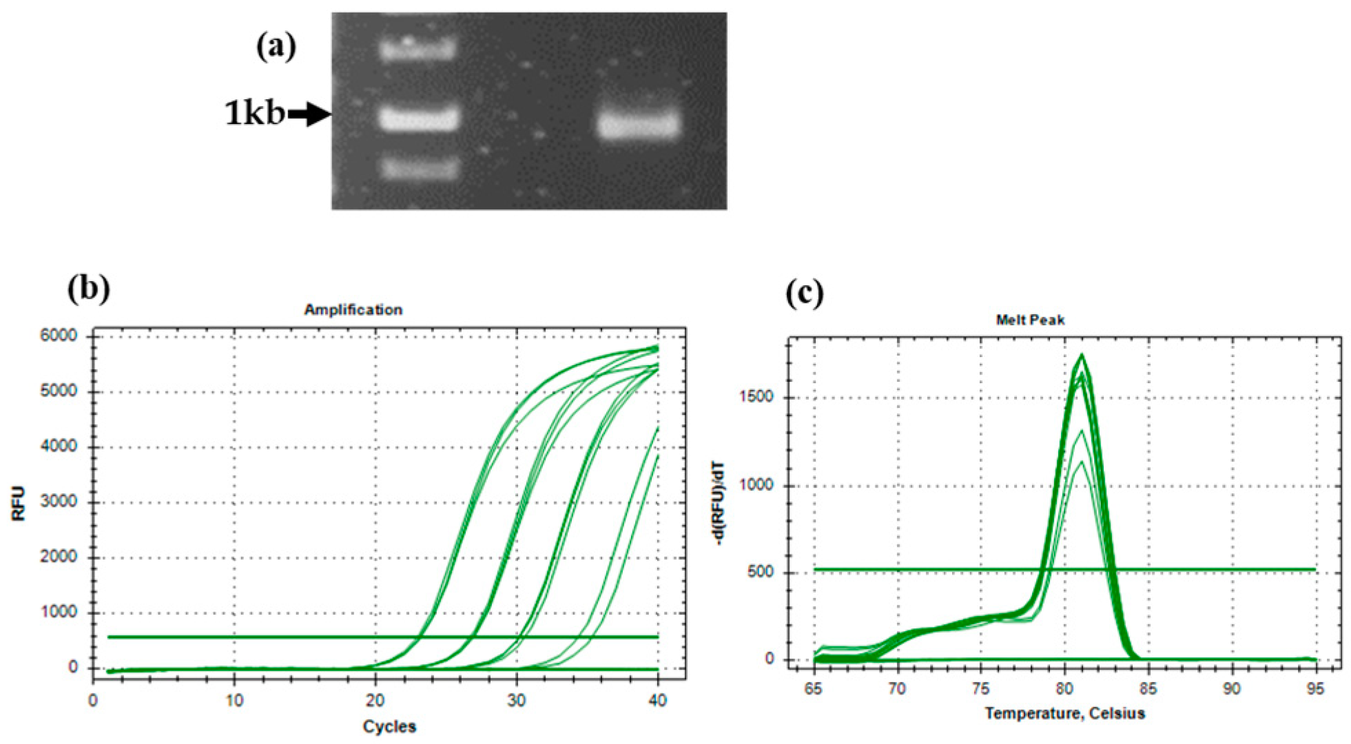 Mps 08 00021 g005 Mps 08 00021 g005