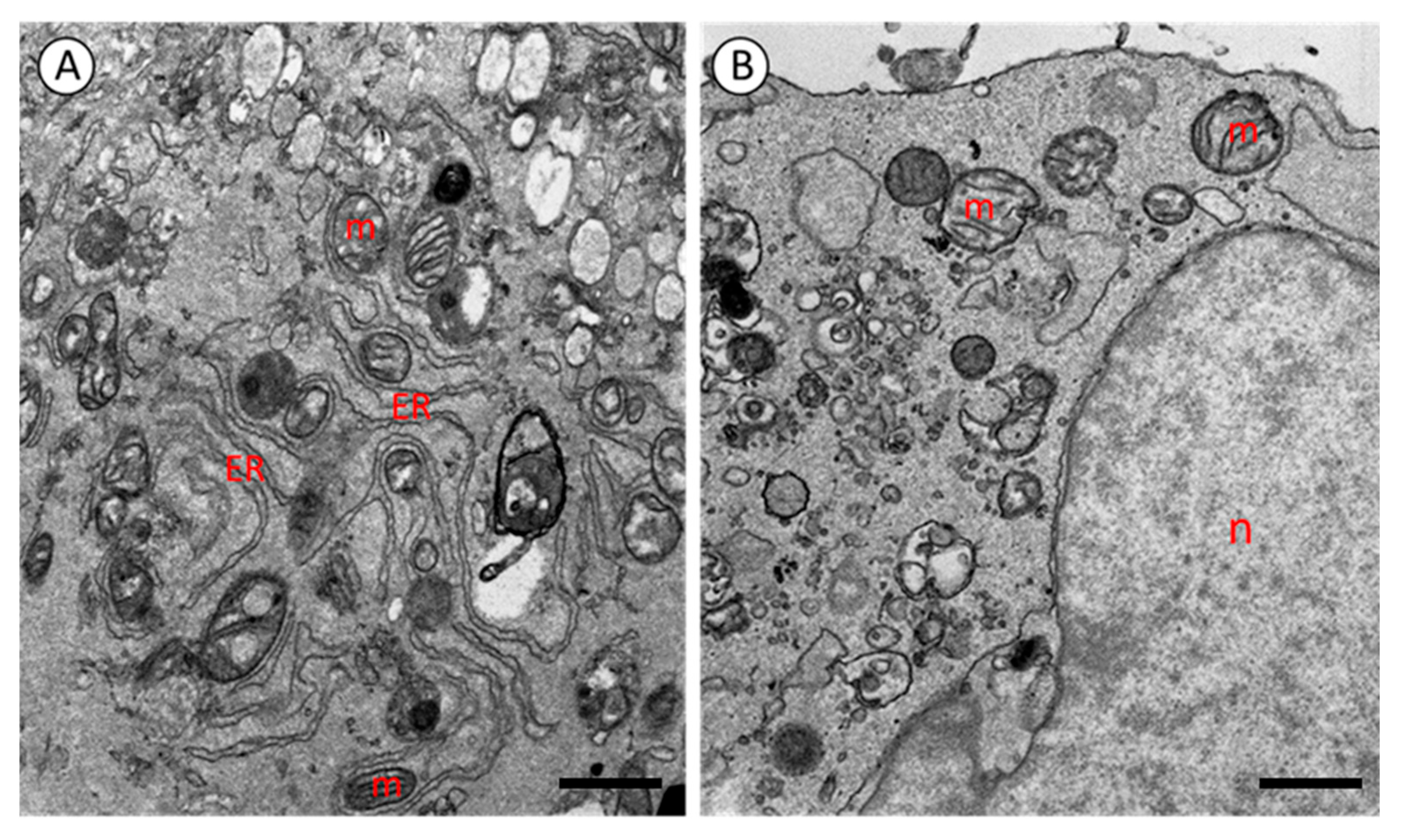 Mps 08 00090 g002 Mps 08 00090 g002