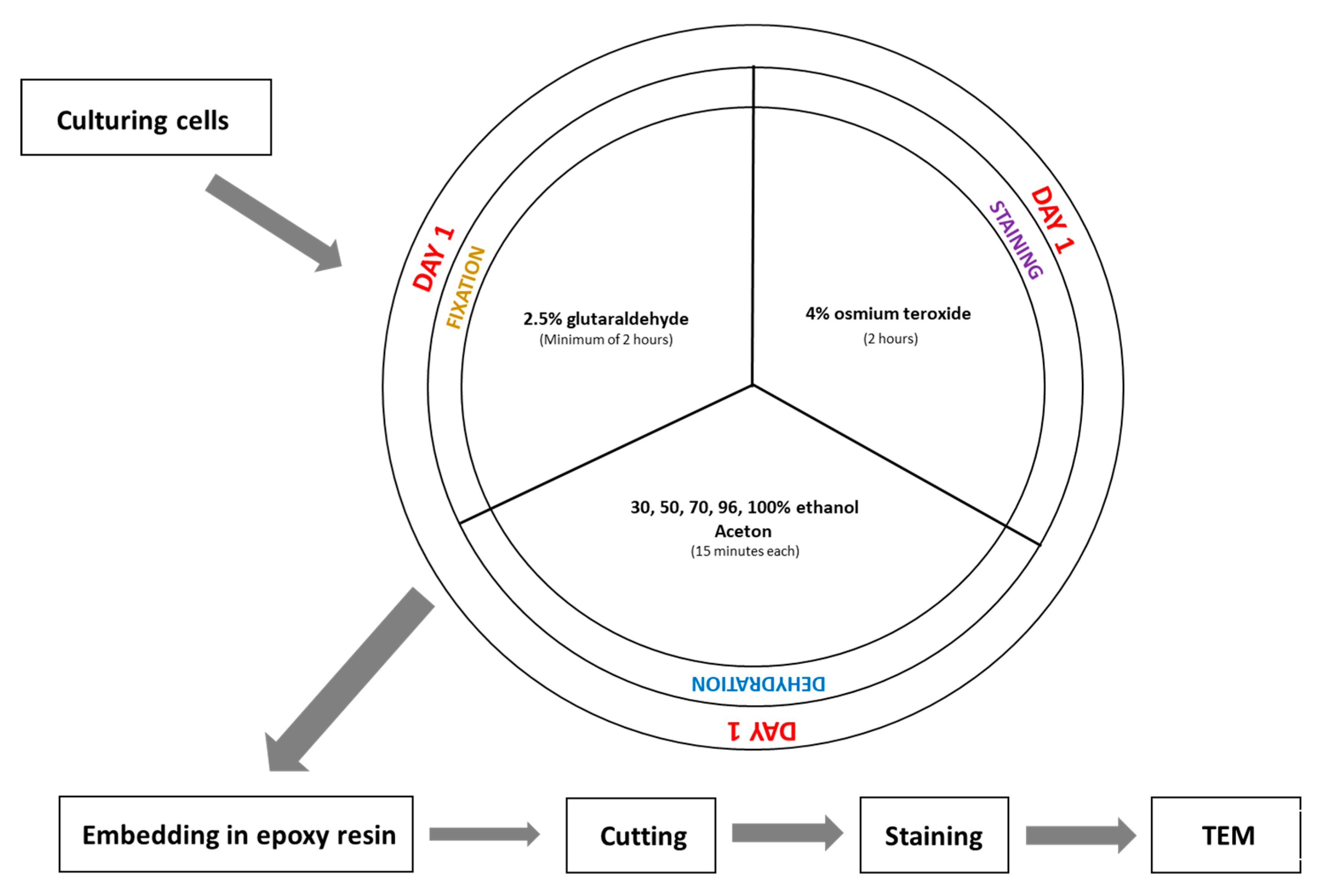 Mps 08 00090 g003 Mps 08 00090 g003